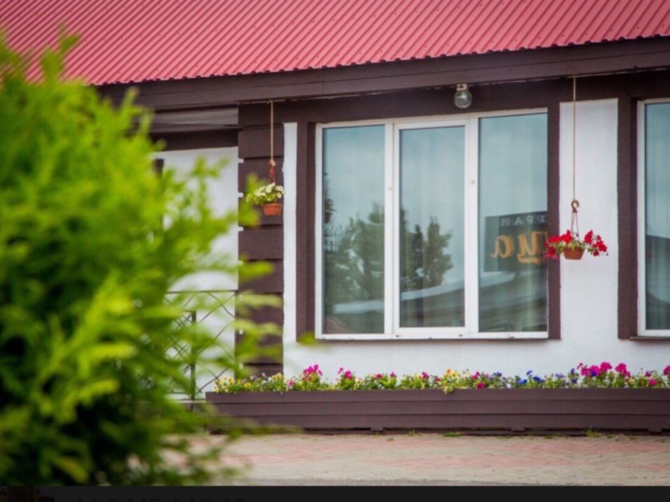 Фото Сова Сойкино