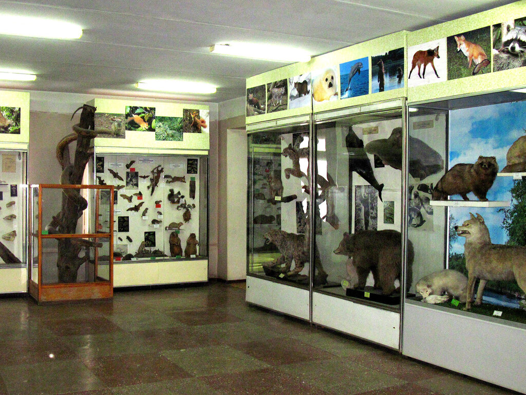 Museum Зоологический музей Луганского университета, Luhansk, photo