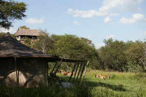 Elewana Serengeti Pioneer Camp