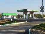 BelOil (Smolensk Region, Pochinkovskiy munitsipalny okrug, Prudkovskoye selskoye poseleniye), gasolinera