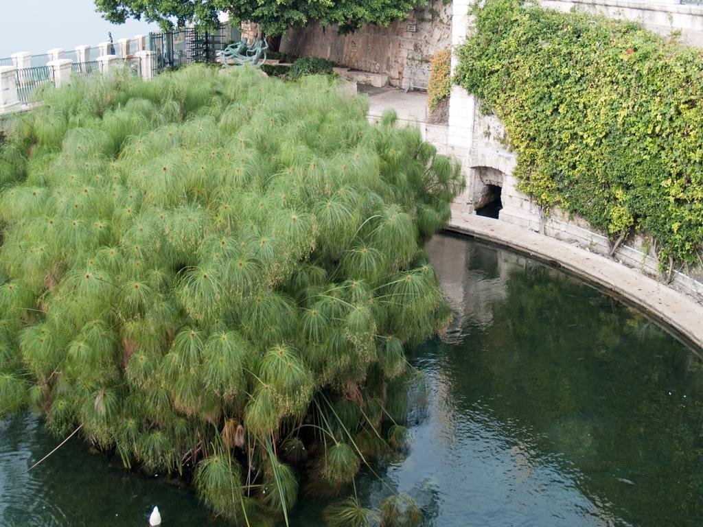 Фото La Rosa di Ortigia
