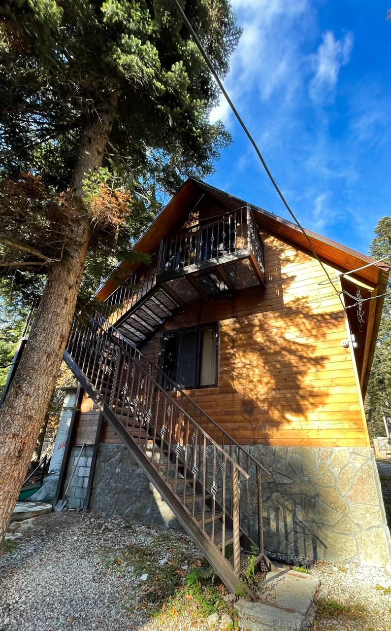 Фото Forest Yard