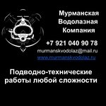 Мурманская Водолазная Компания (просп. Ленина, 82, Мурманск), подводные работы в Мурманске