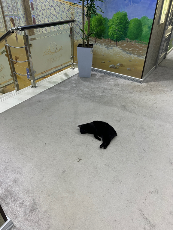 Фото Arhan Palace