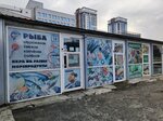 Rybny magazin (ulitsa Marksa, 28А), fish and seafood