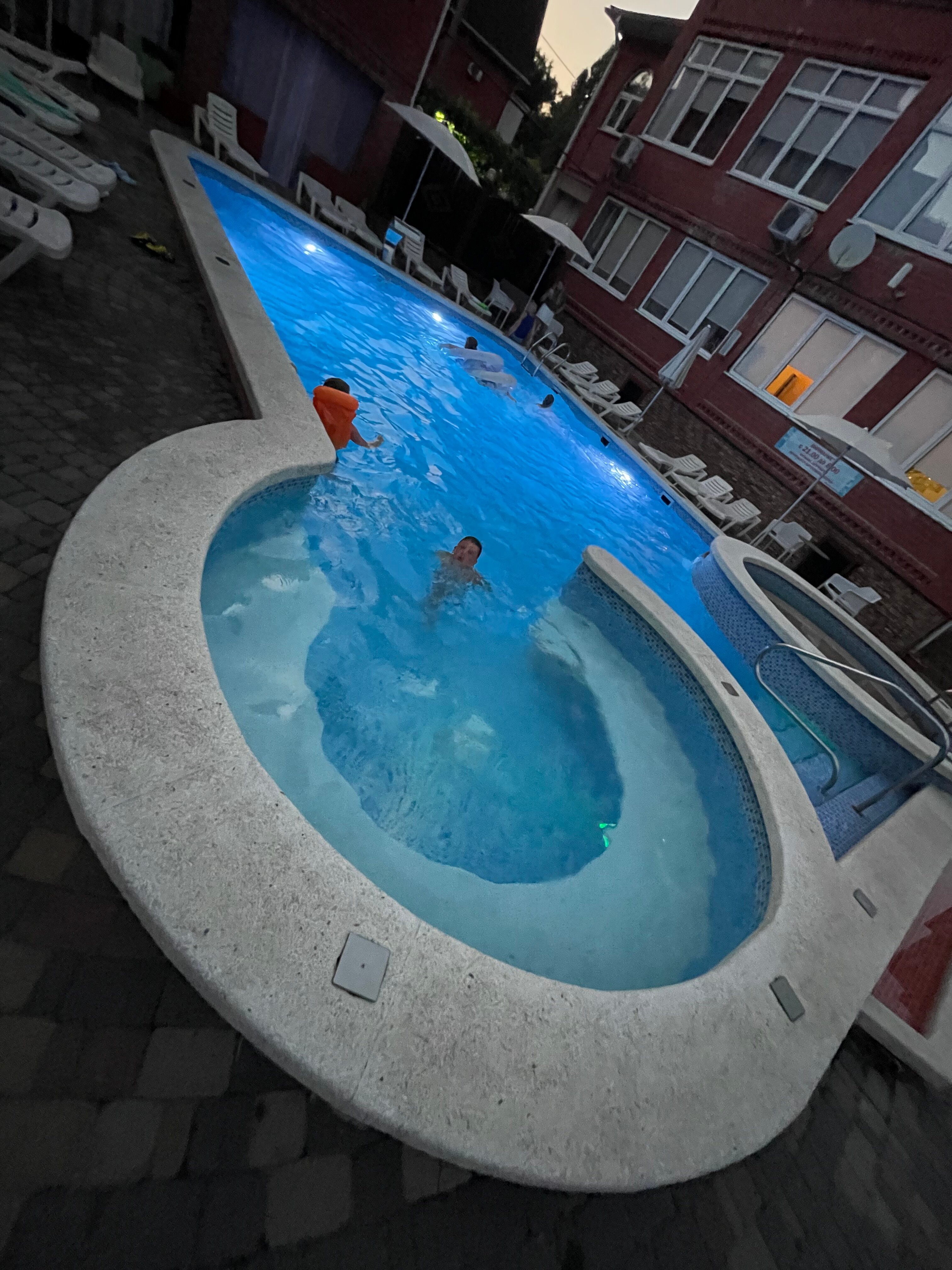 Фото Багира