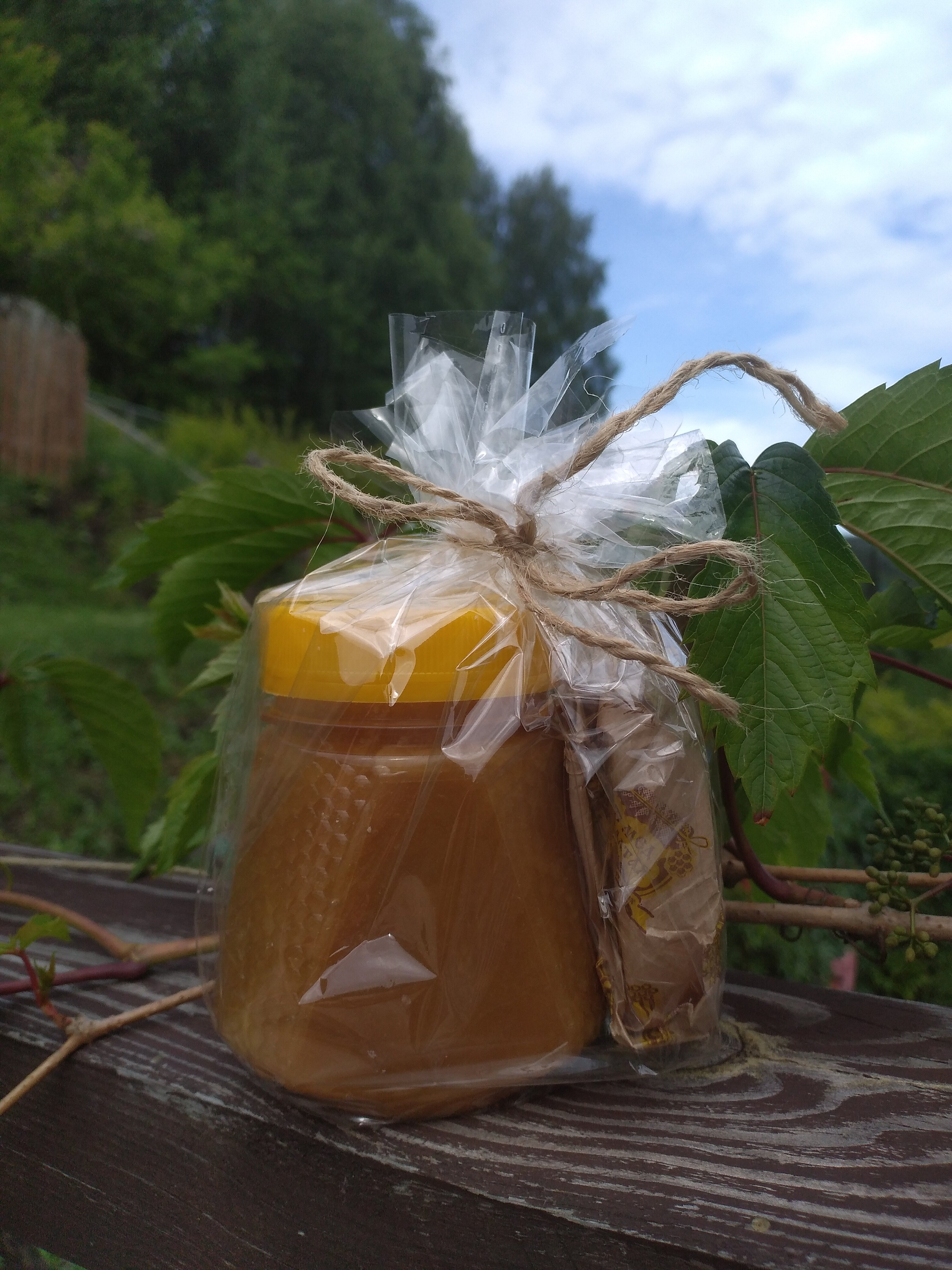 Фото Горная Пчела