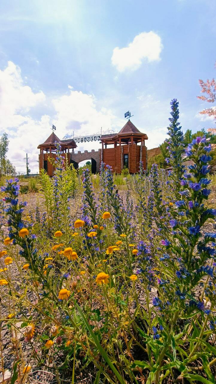 Фото Цитадель