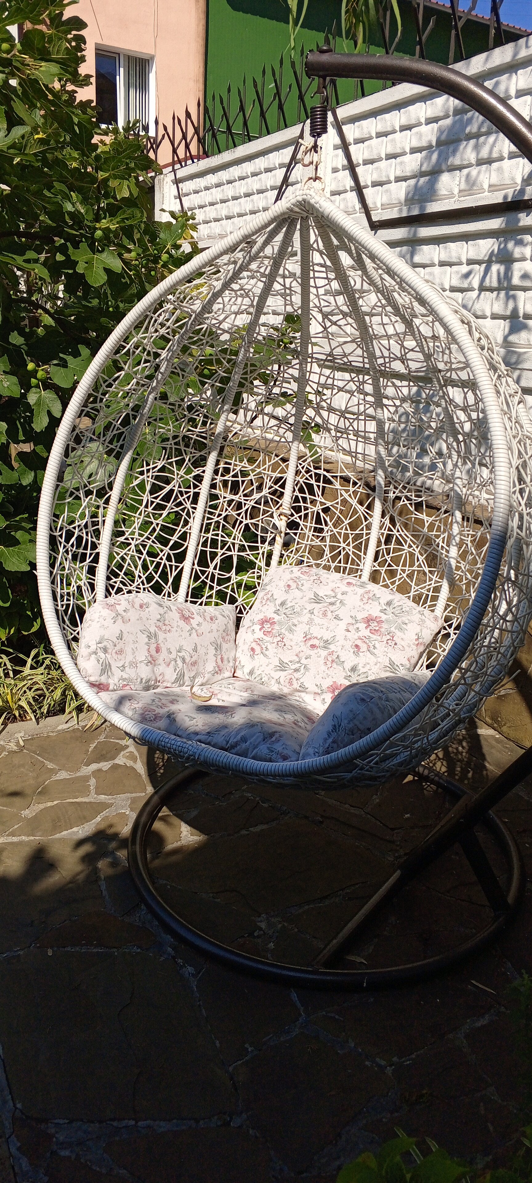 Фото Александрия