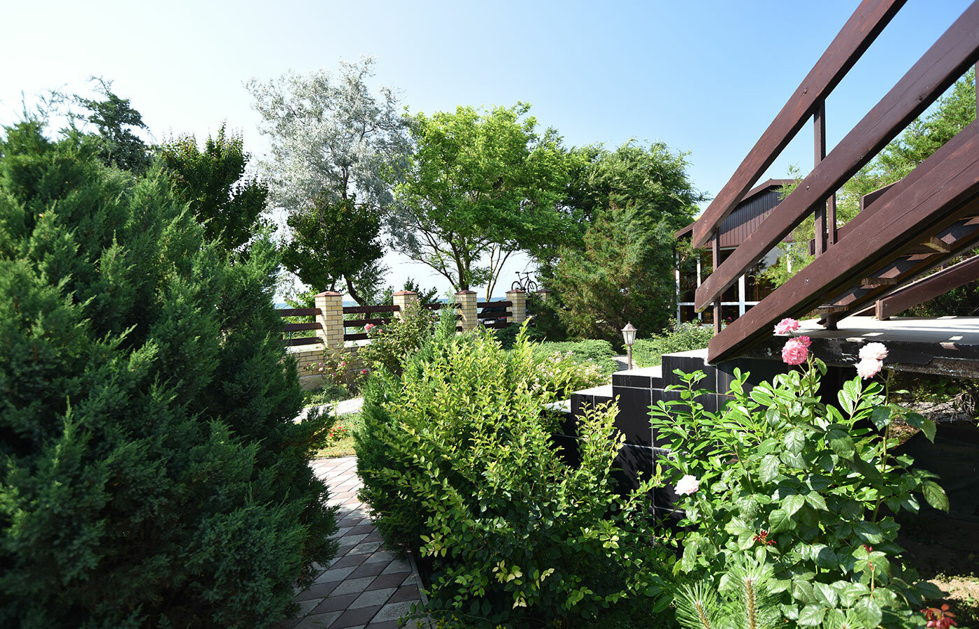 Фото Фортуна