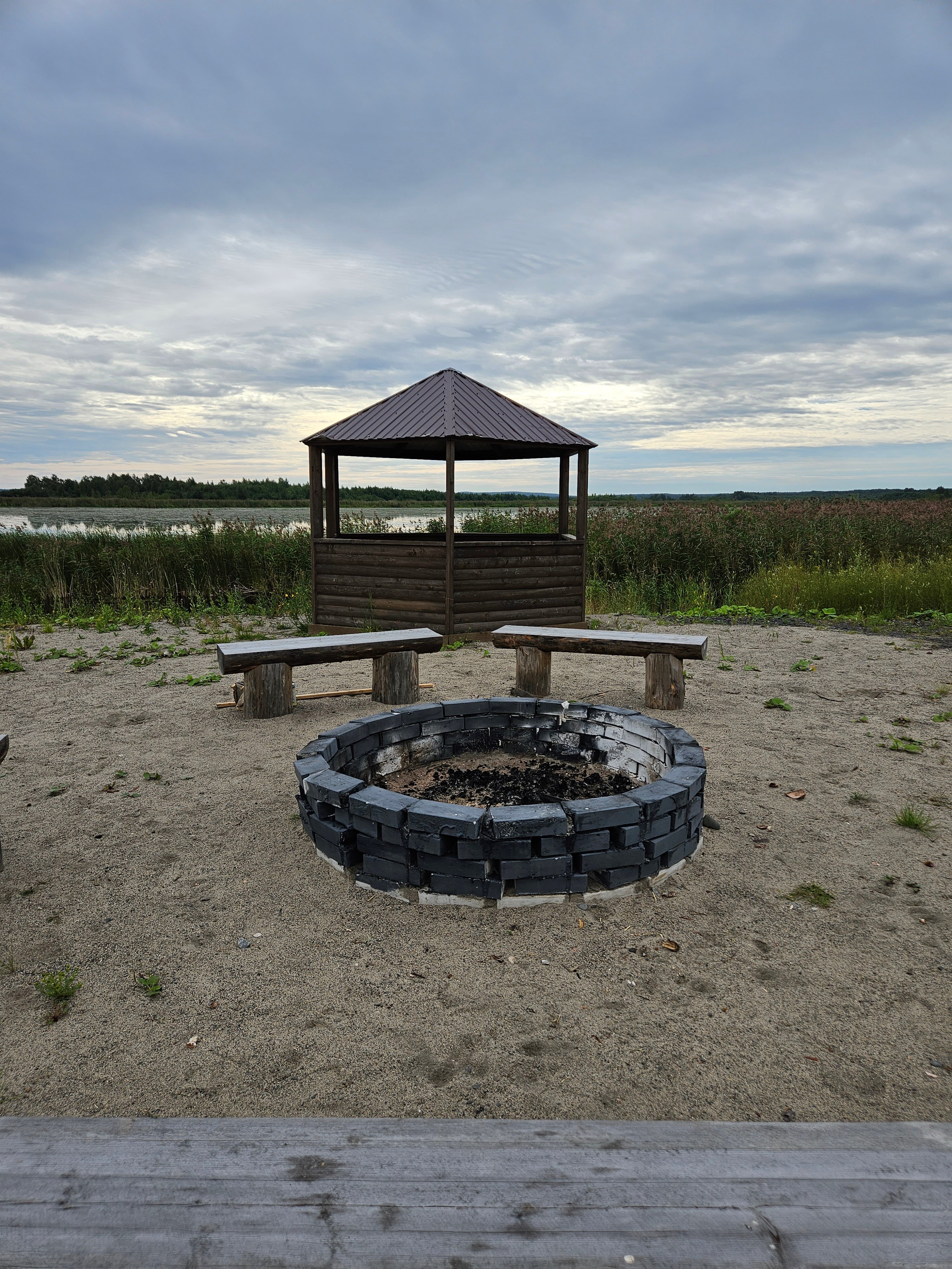 Фото Хитрый Лис