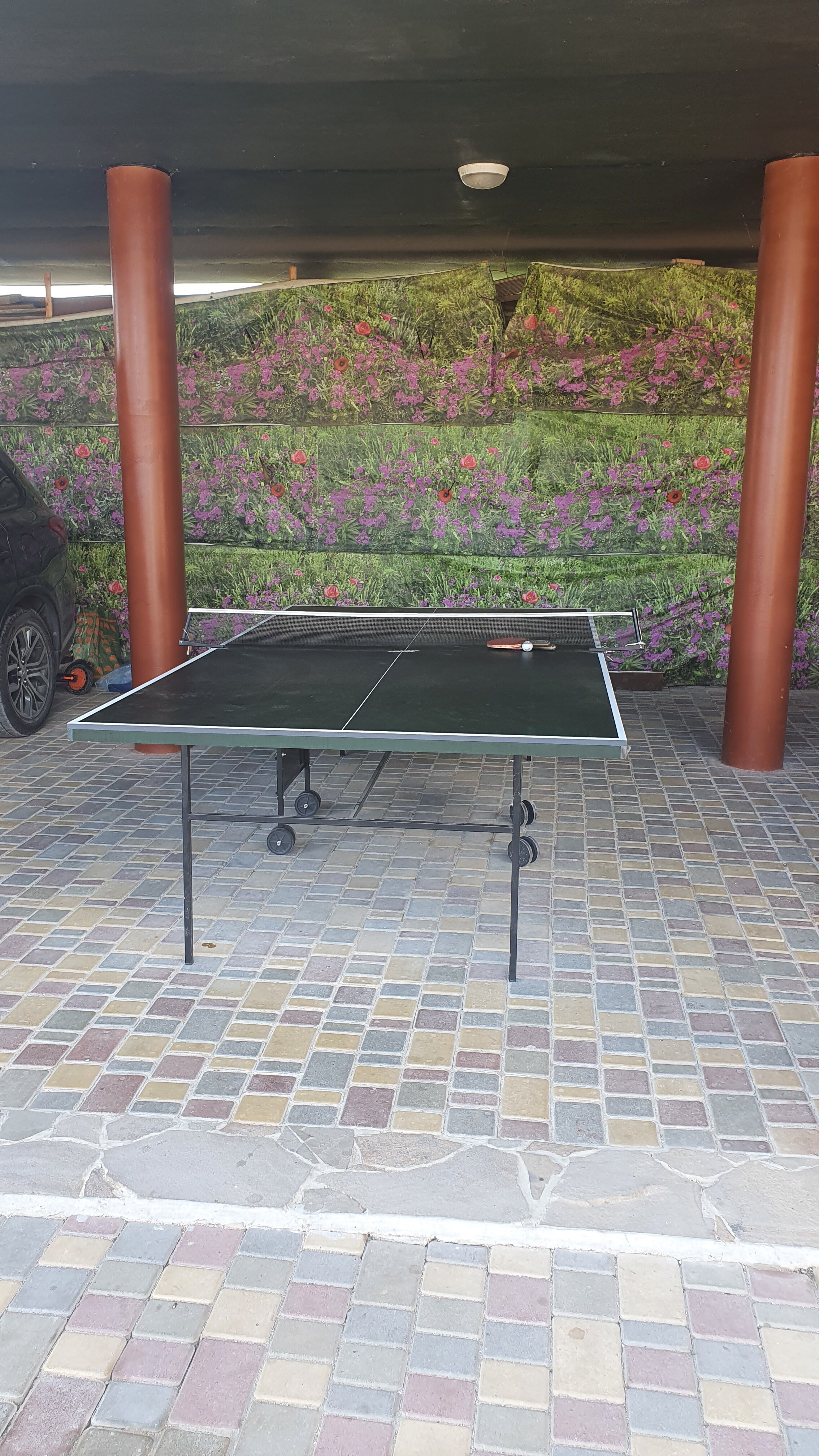 Фото Одиссей