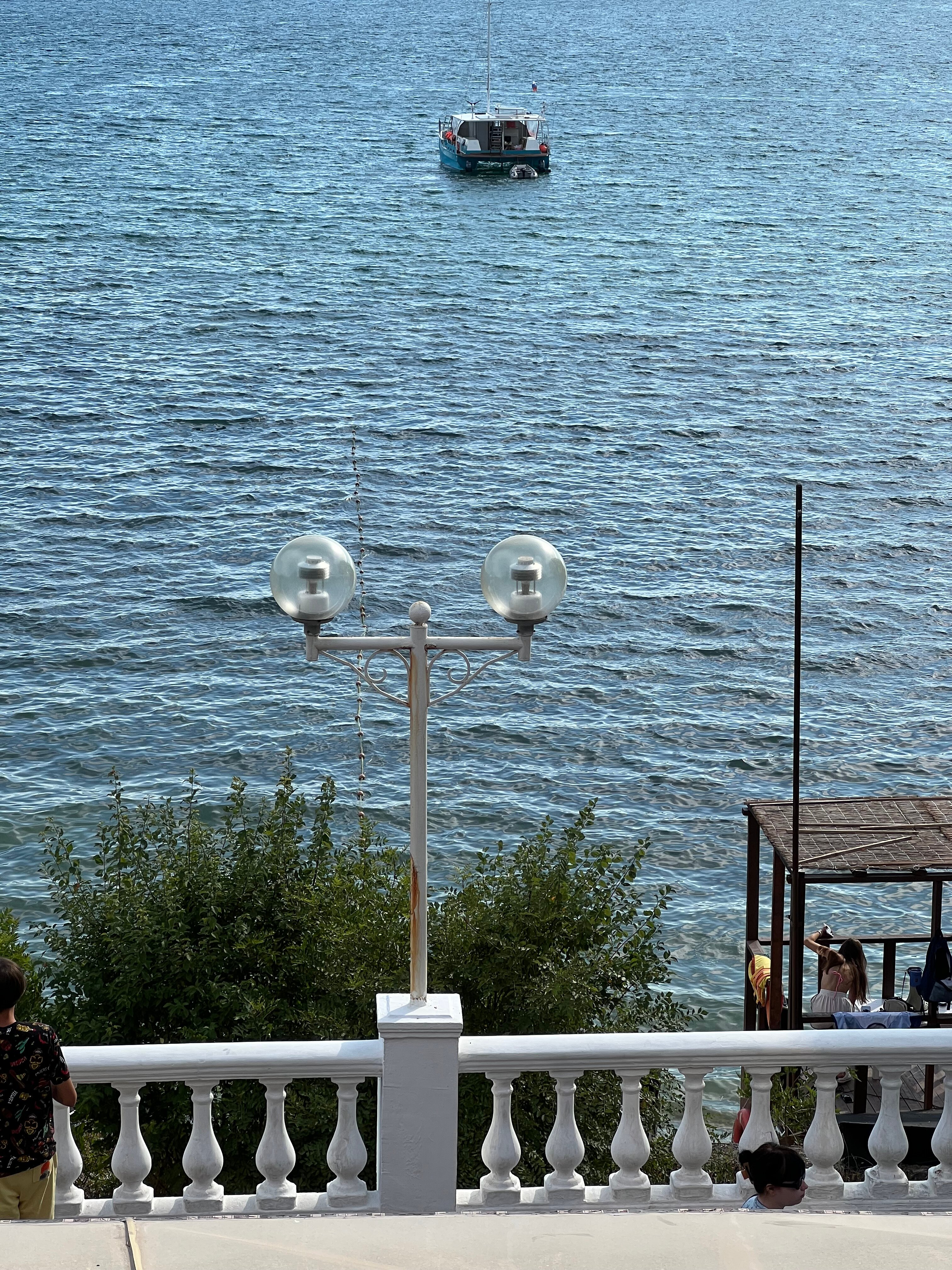 Фото Магнолия