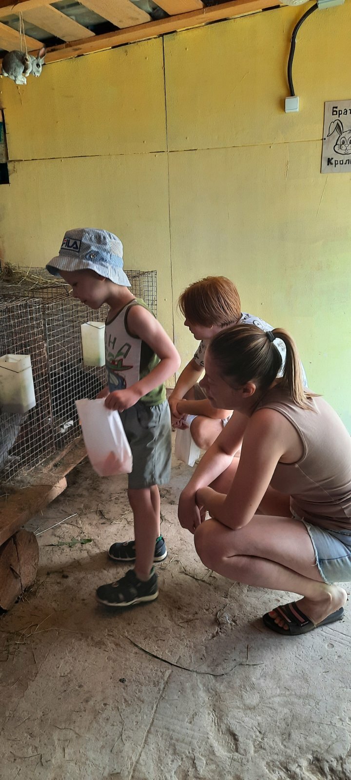 Фото Ласточкин дом