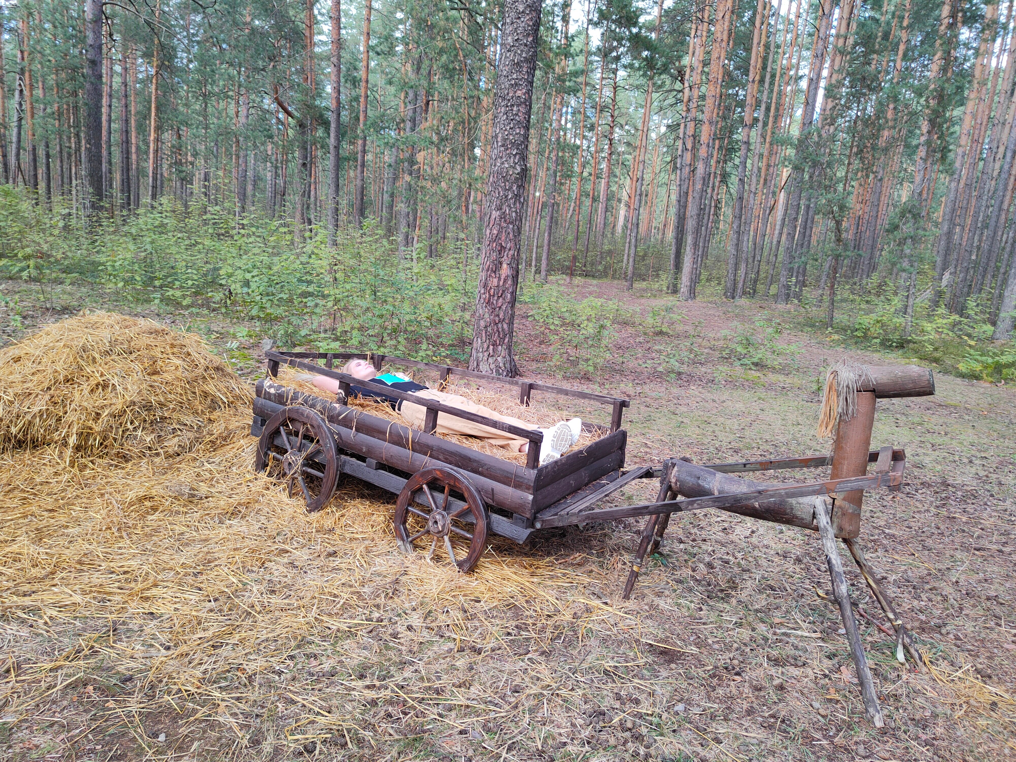 Фото Олимпия