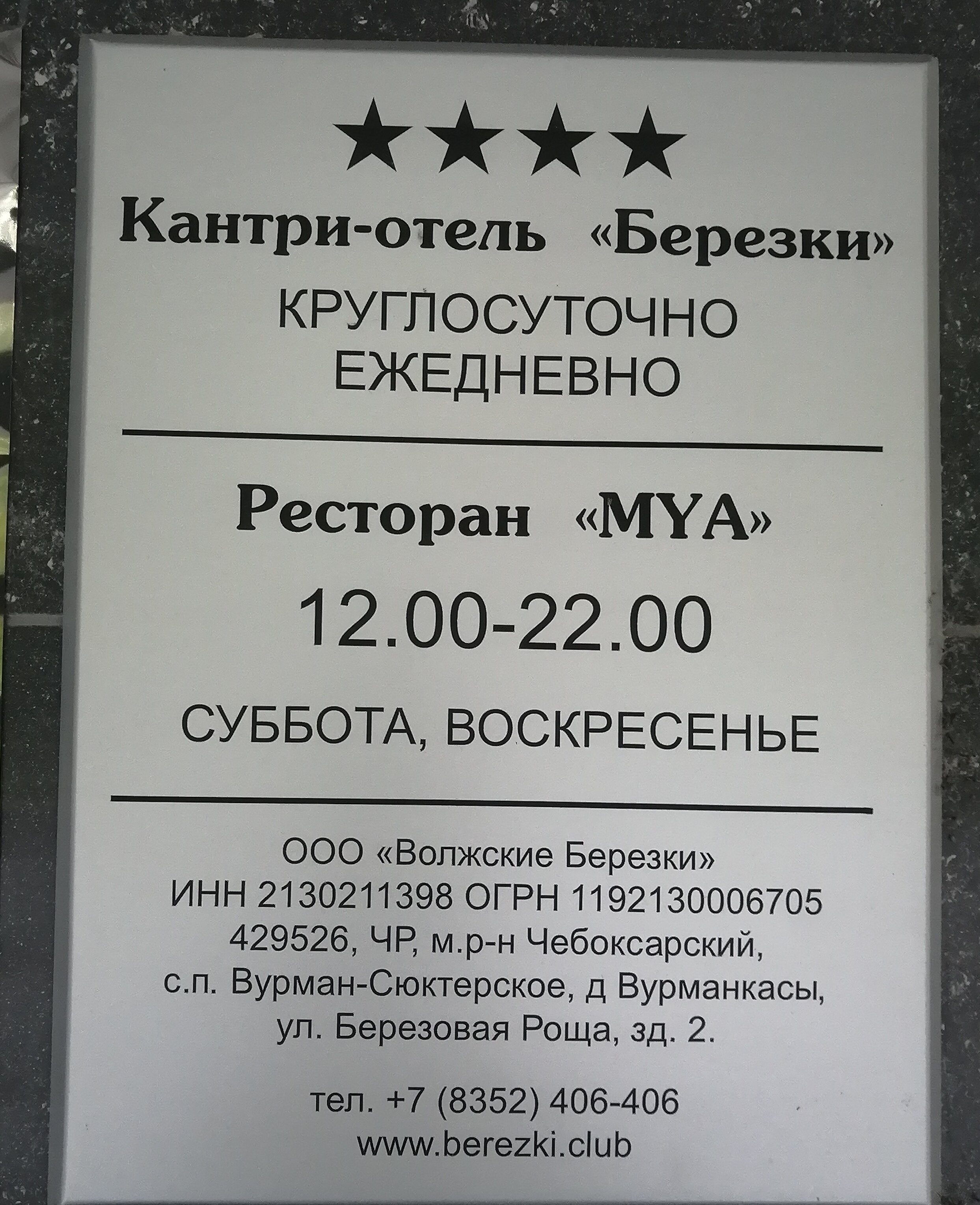 Фото Берёзки