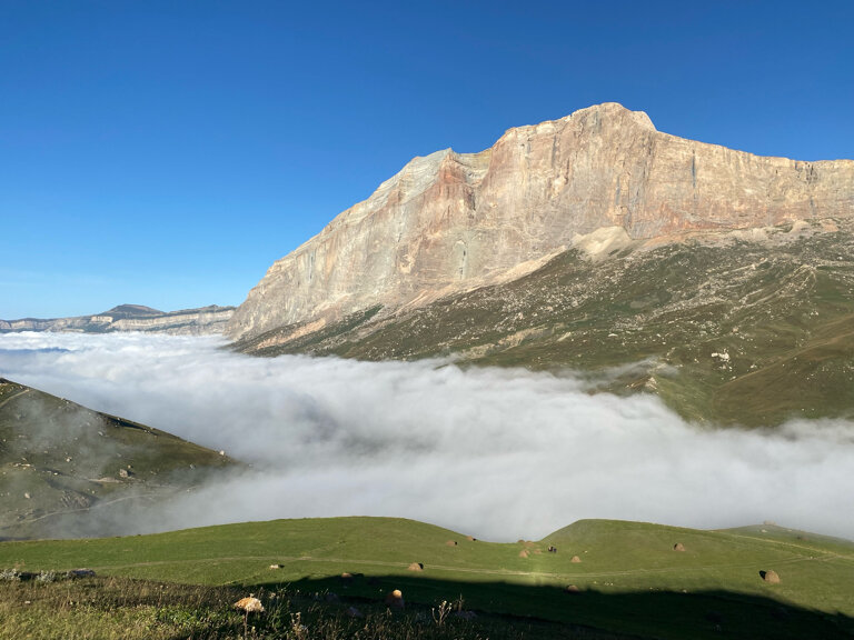 Фото Гнездо солнца
