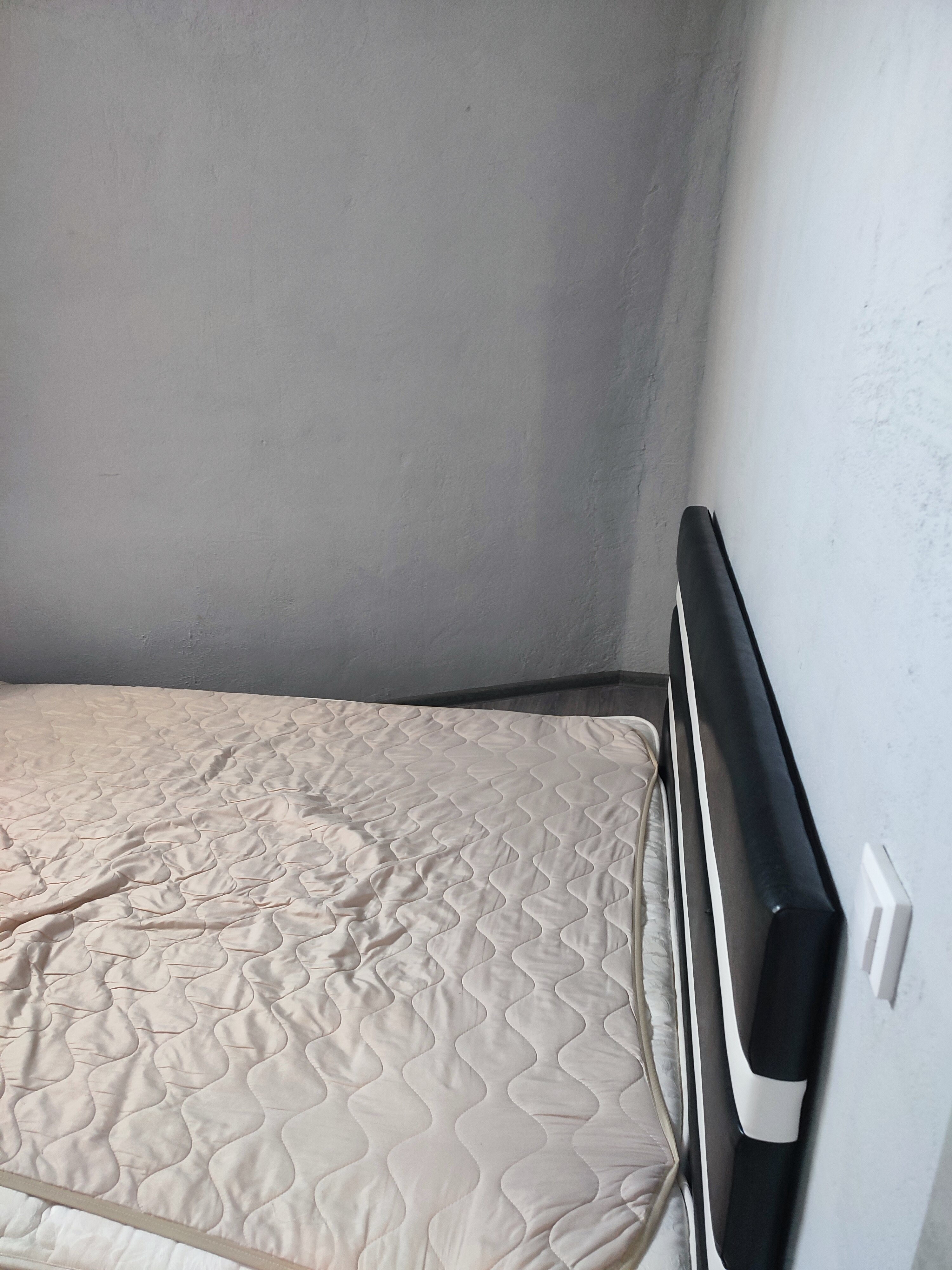 Фото Купольный дом