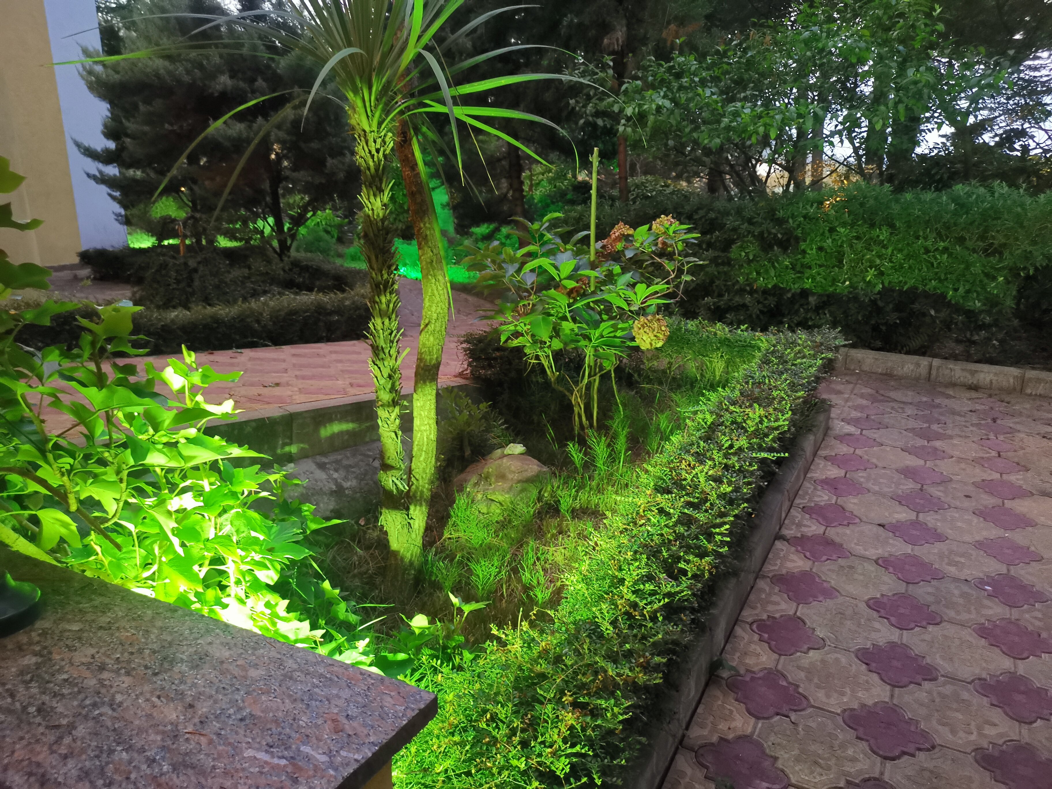 Фото Рест-Мацеста