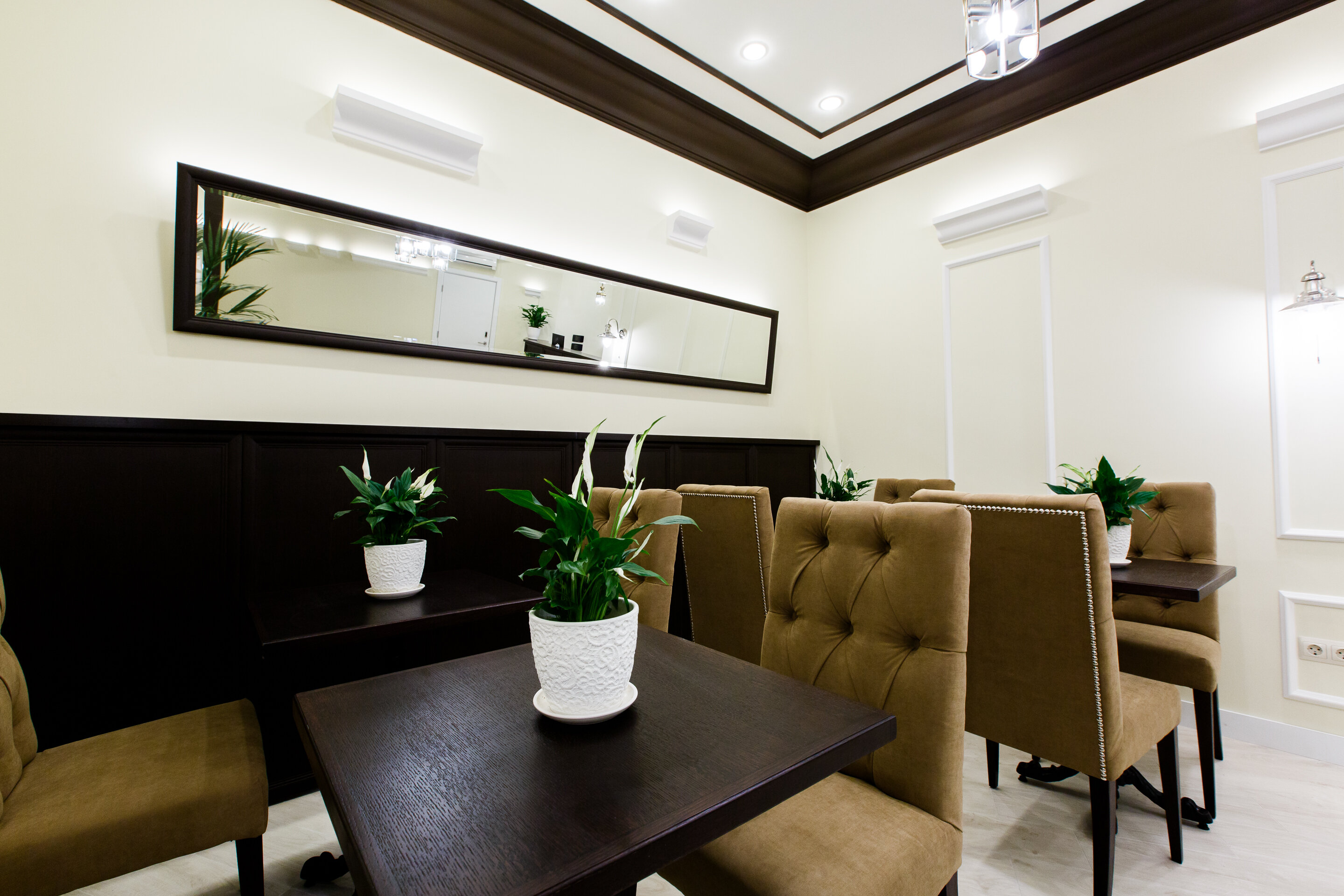 Фото Далиси