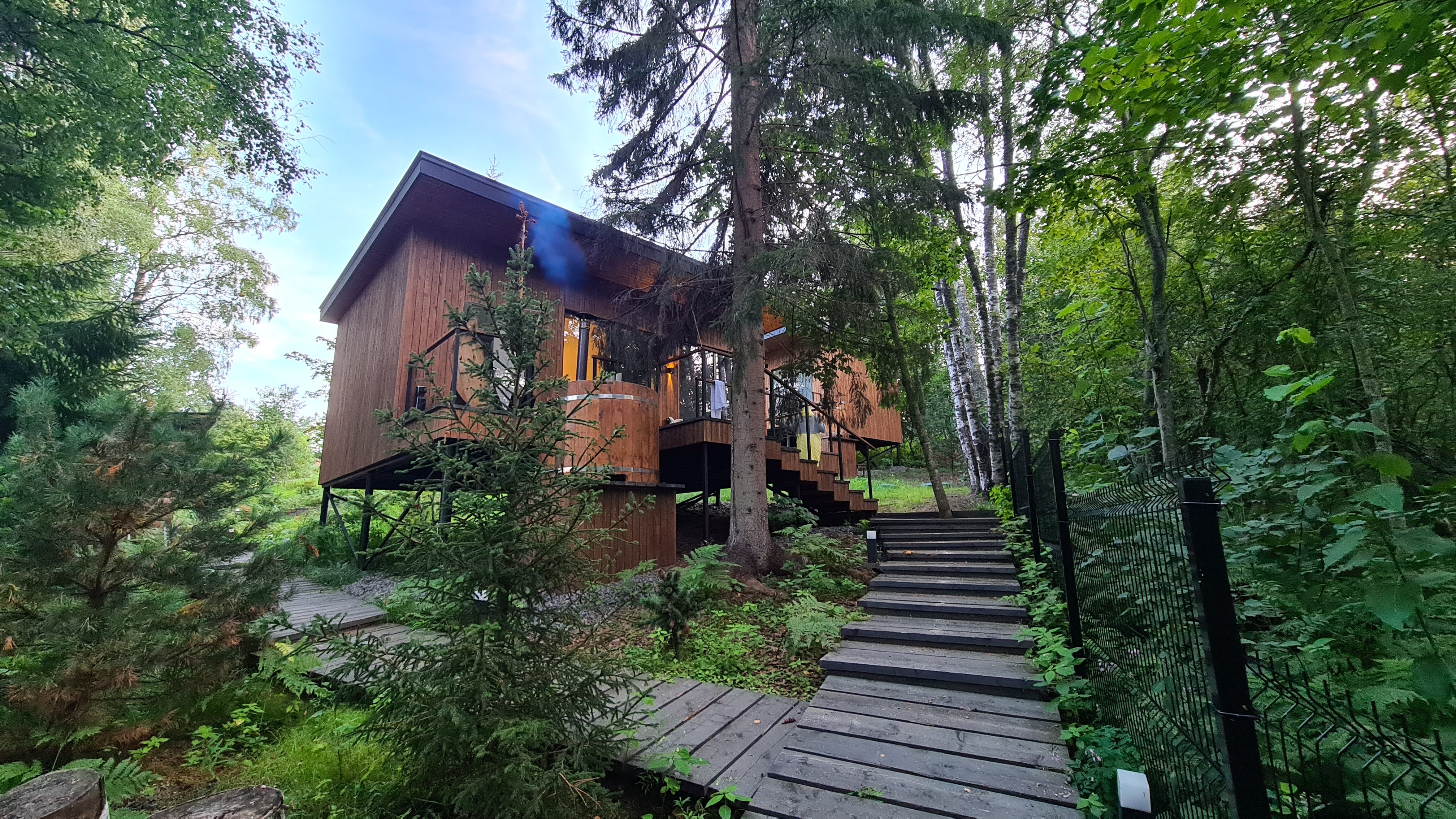 Фото Лесной восход