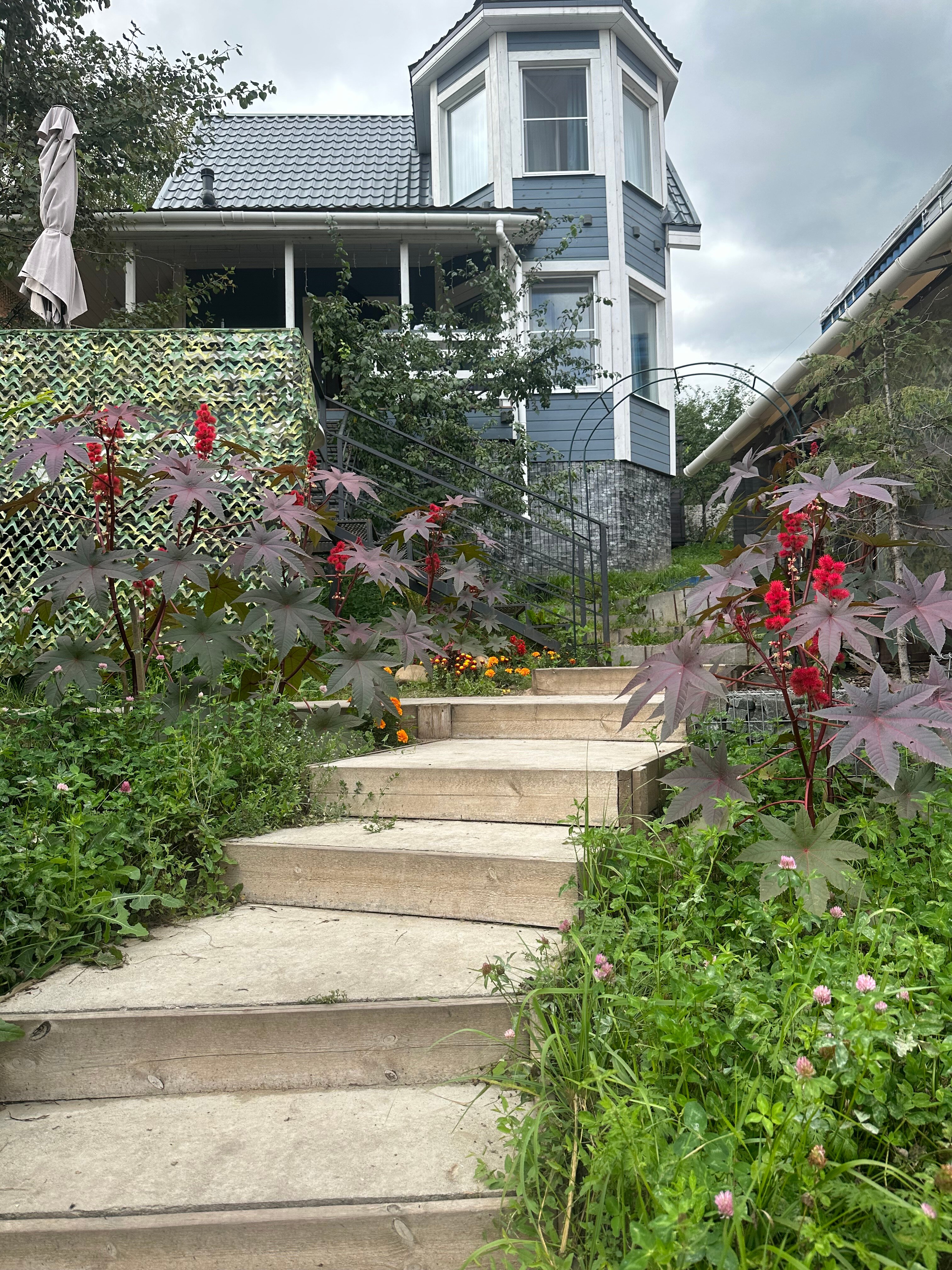 Фото Дача ОстровОк