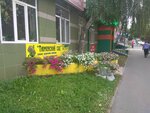 Magazin Tyumensky sad (ulitsa Melnikayte, 93), gardening shop