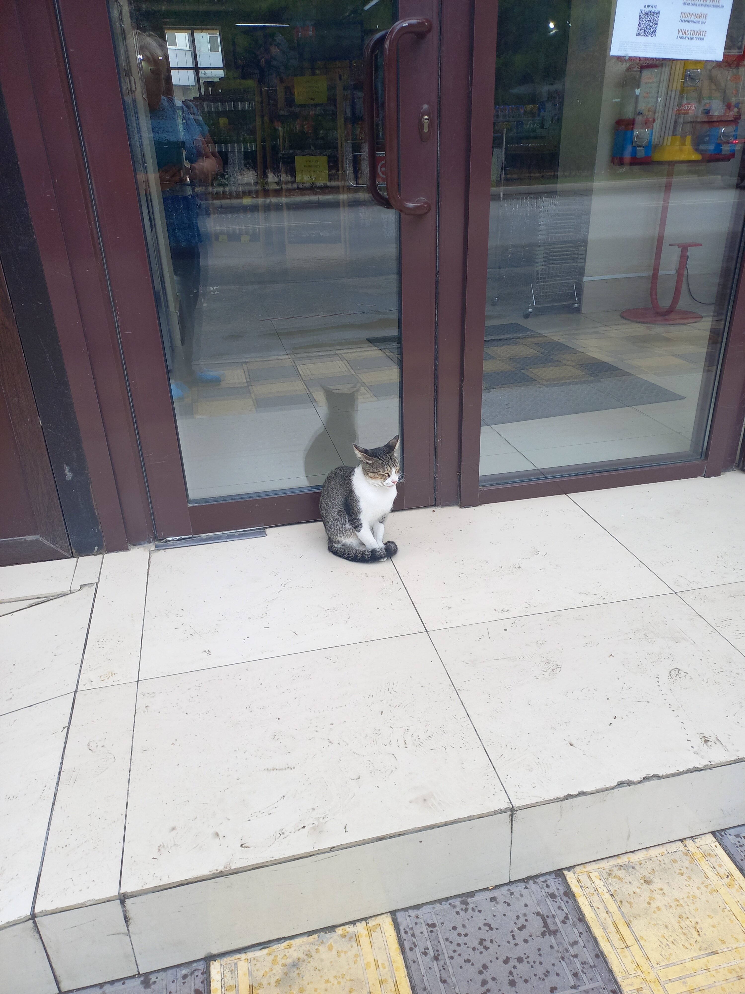 Фото Седьмое небо