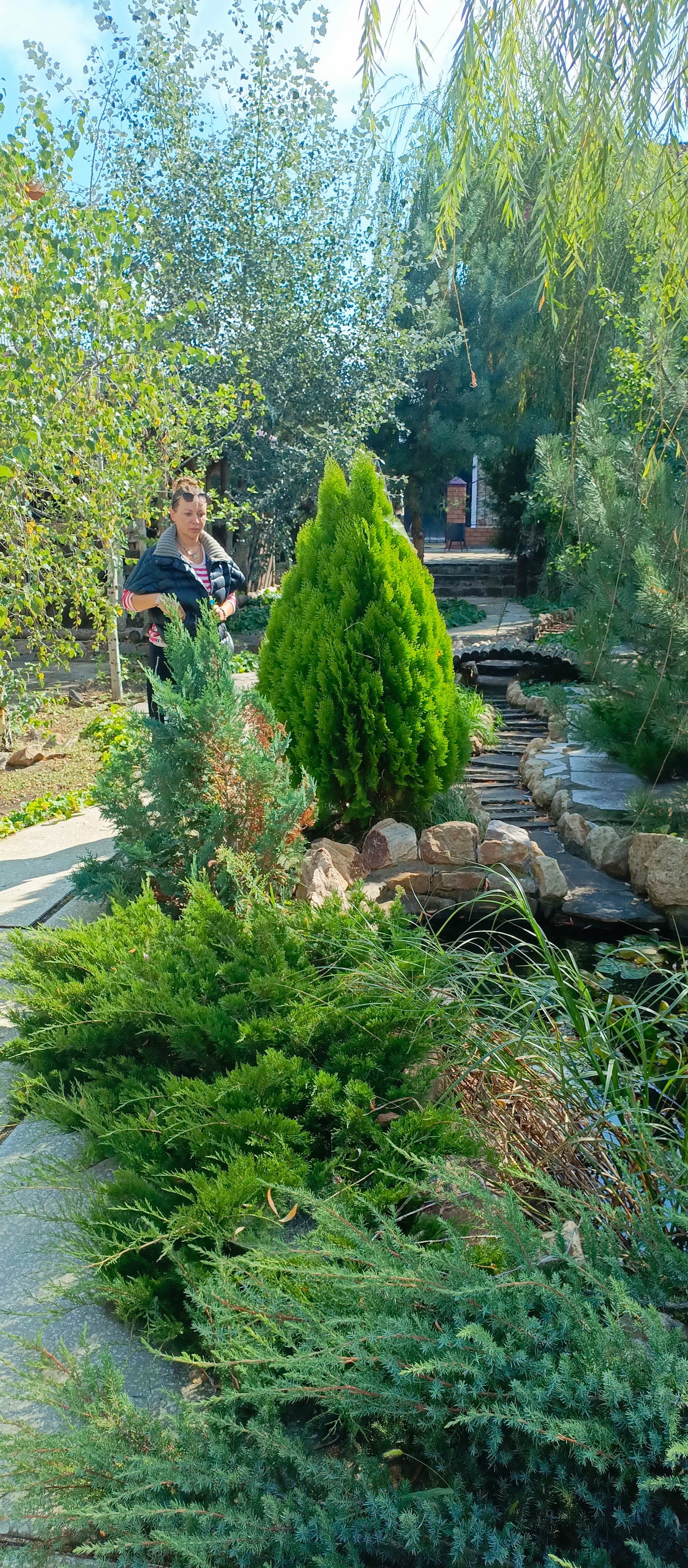 Фото Солнечная