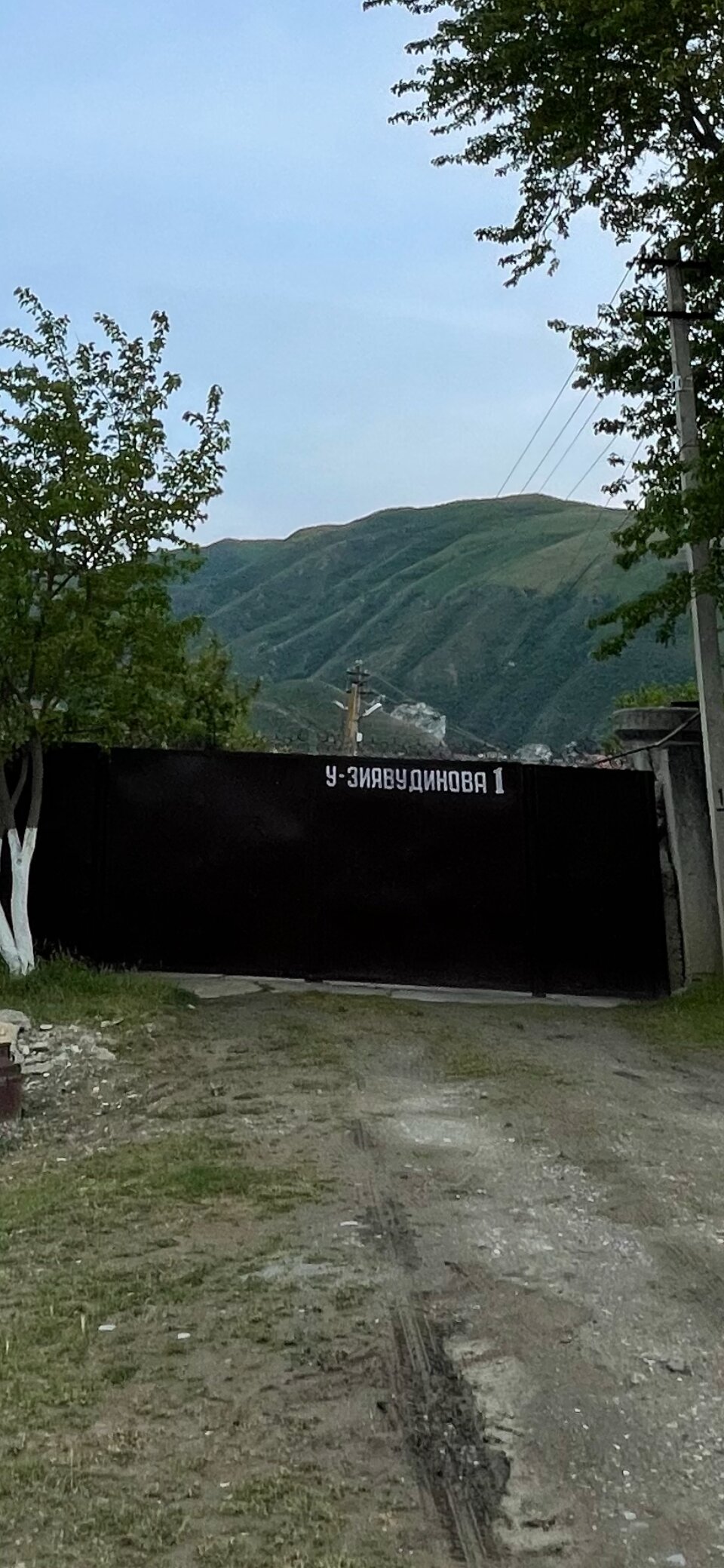 Фото У Хабиба