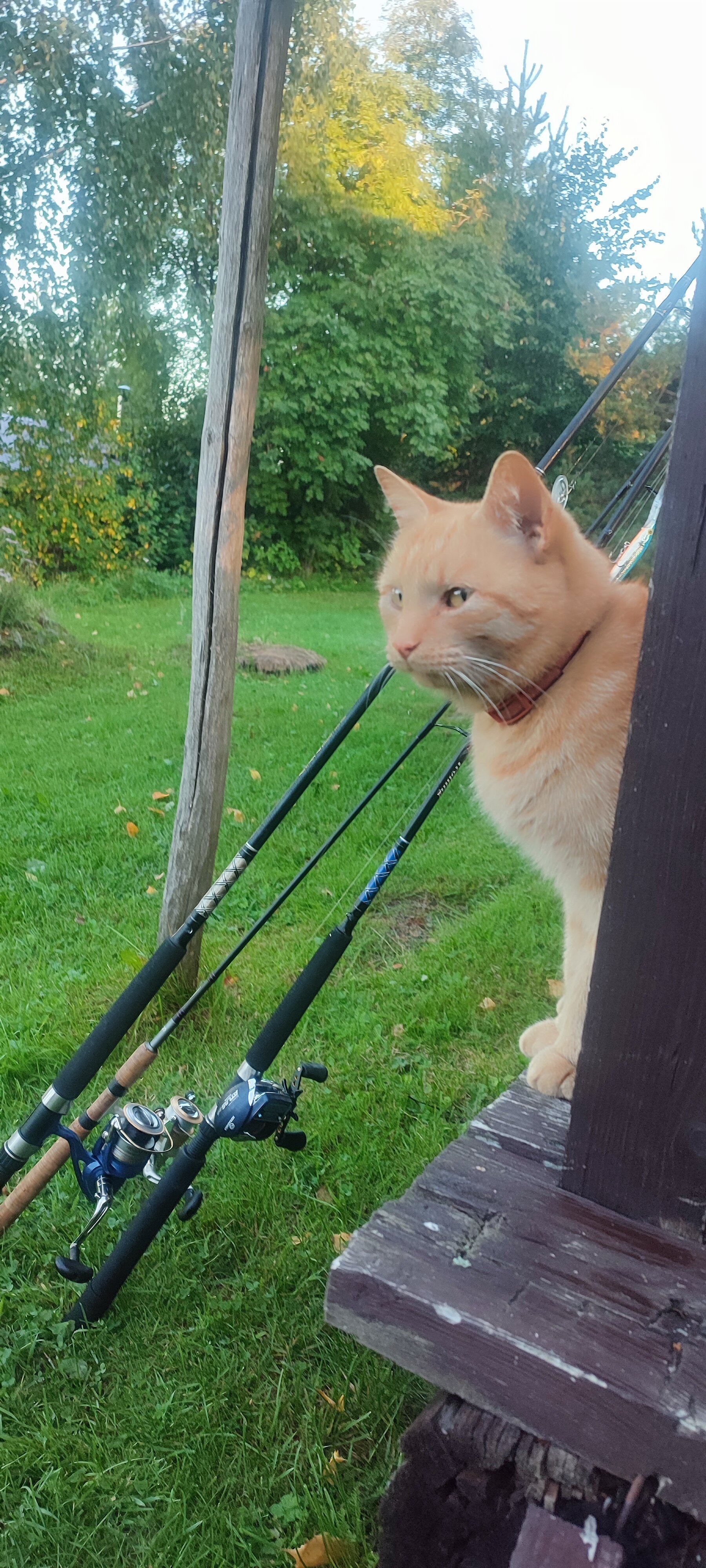 Фото Сеновал