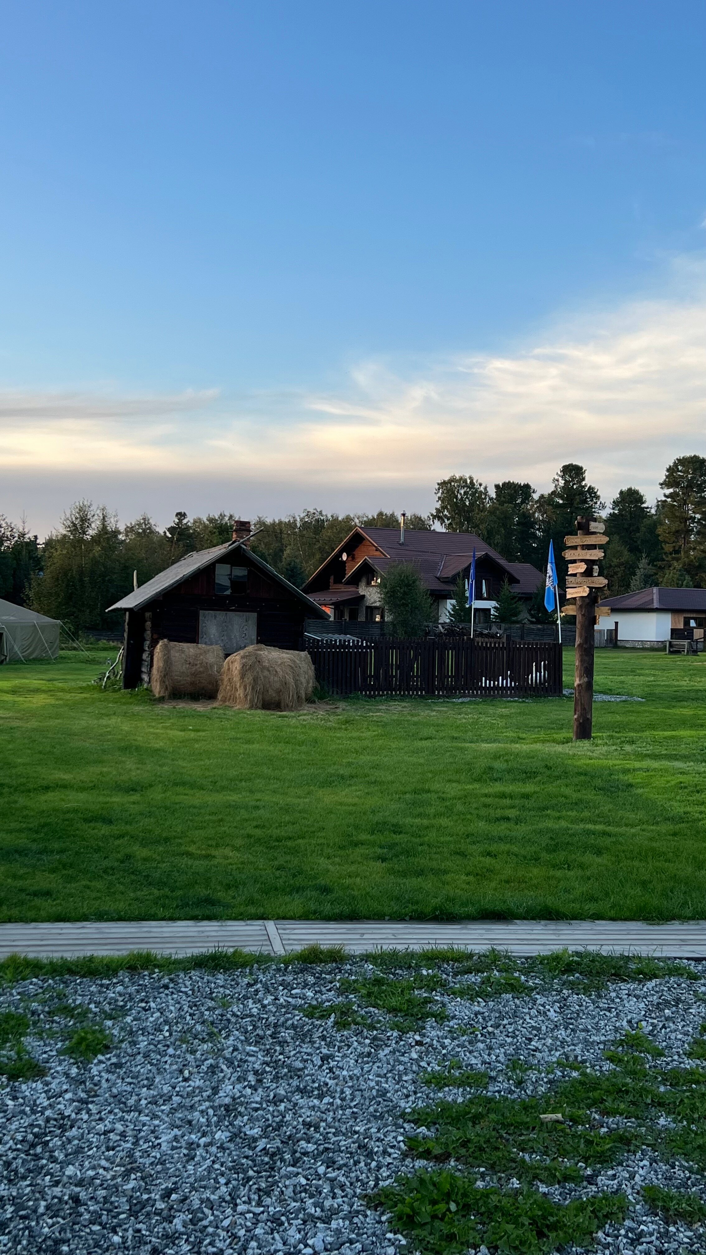 Фото Снежные Гуси