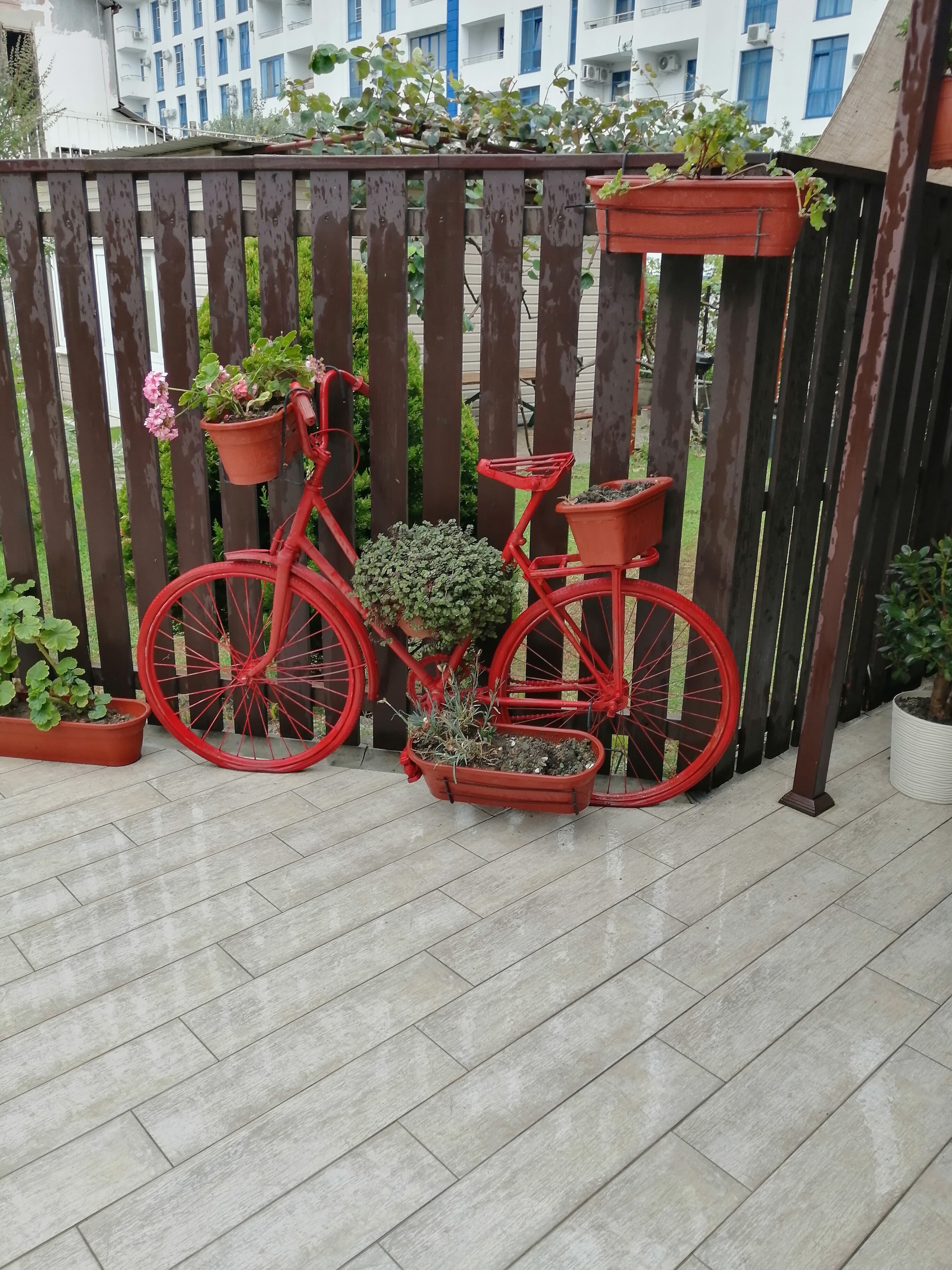 Фото Гранат