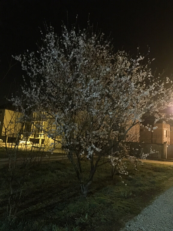 Фото Морской Прибой