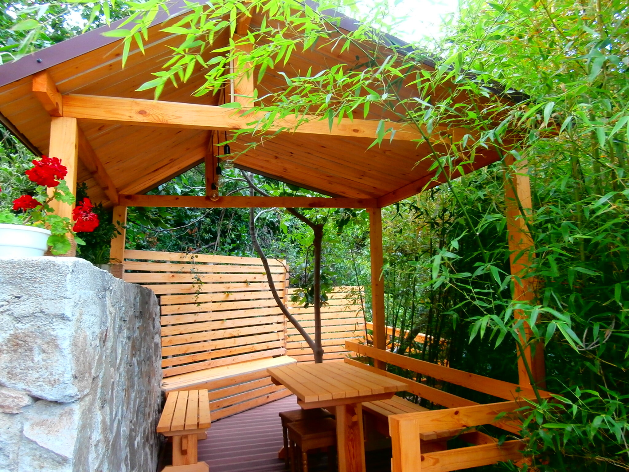 Фото Бархатный сад