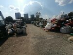 Макулатура (Бородинская улица, 115/2), purchase of recyclables