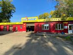 MasloMarket (Michurina Street, 24), car service, auto repair