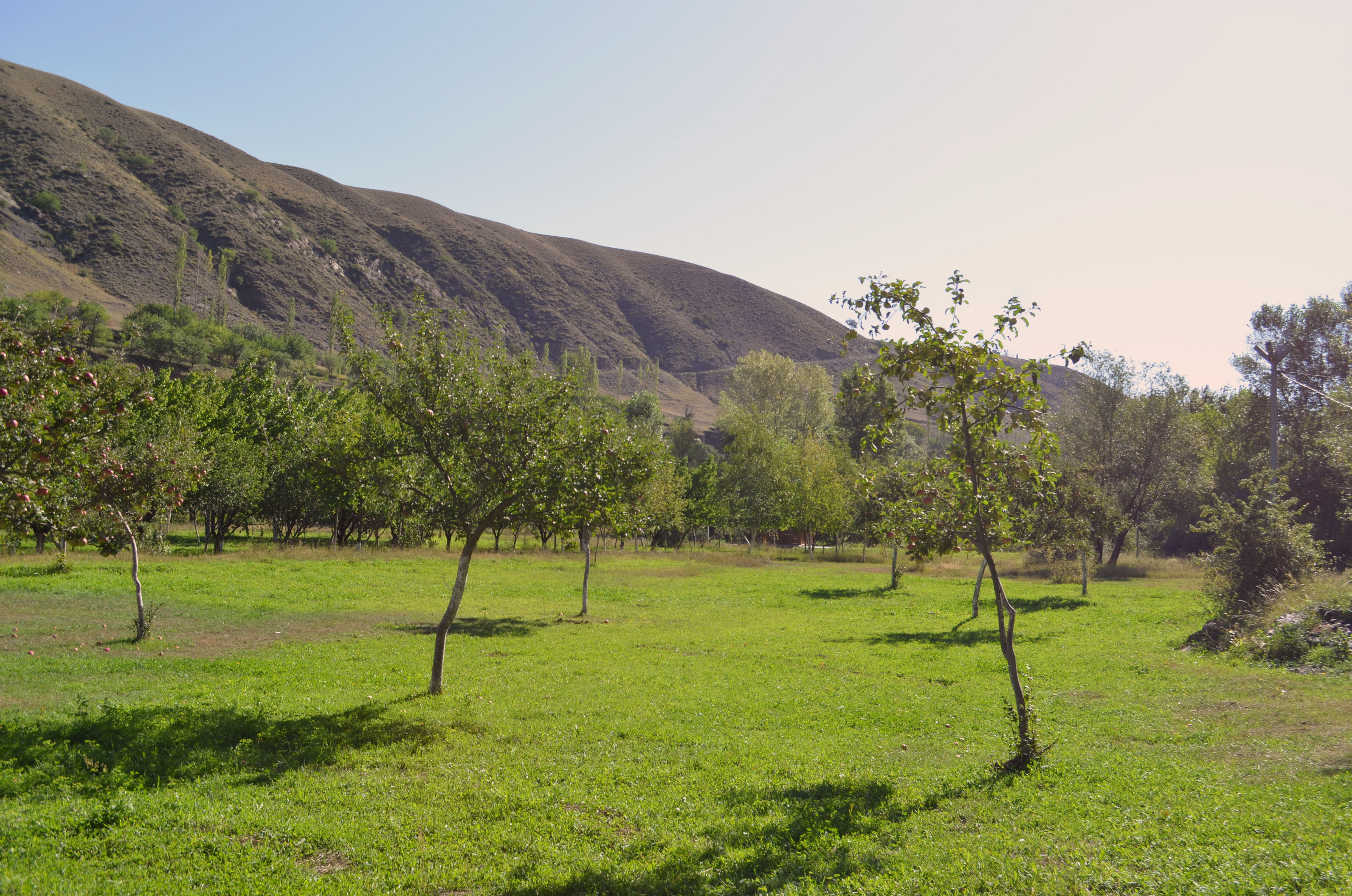 Фото Рагдан