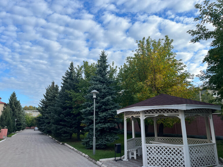 Фото Амилия