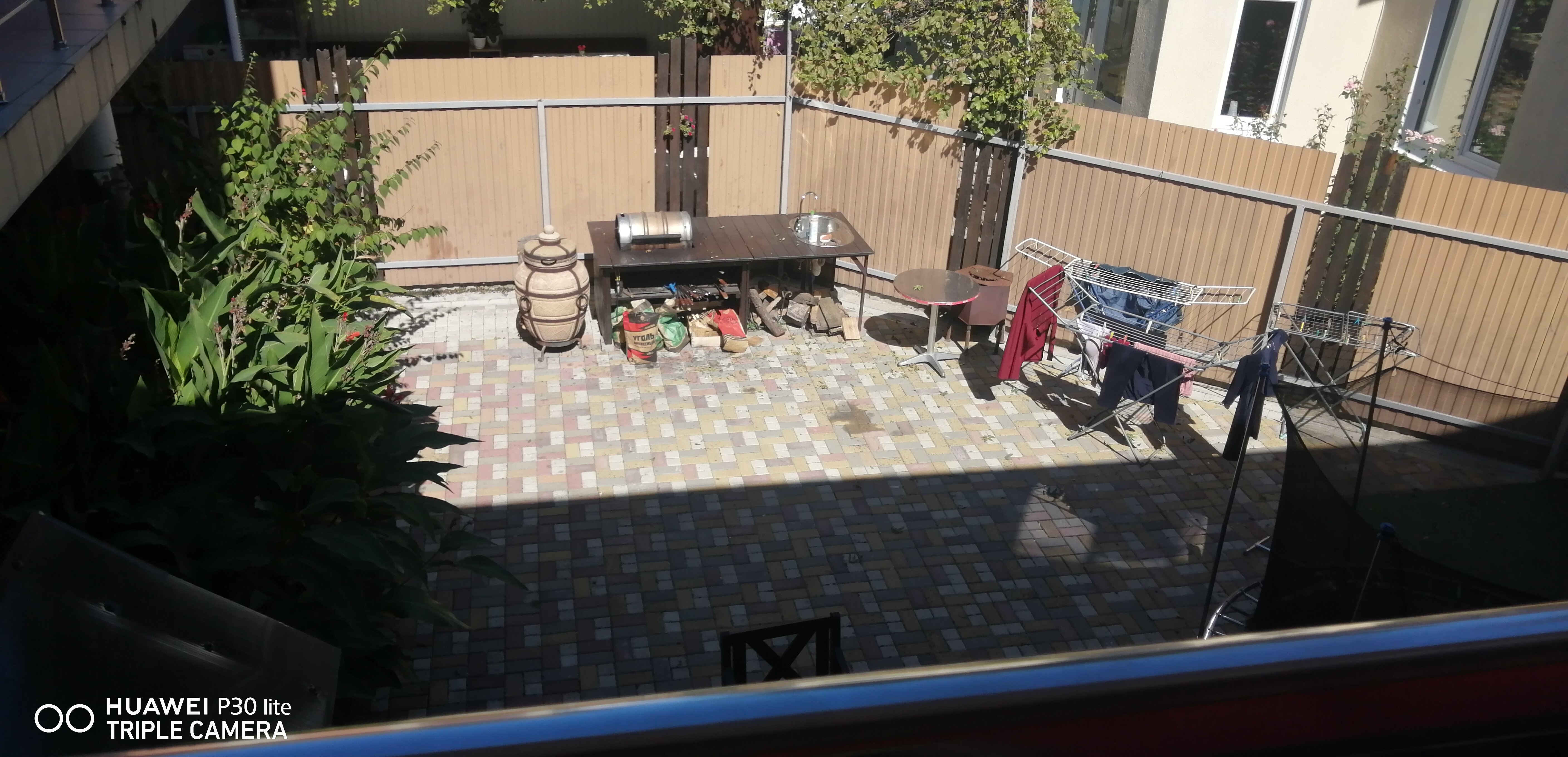 Фото Малина