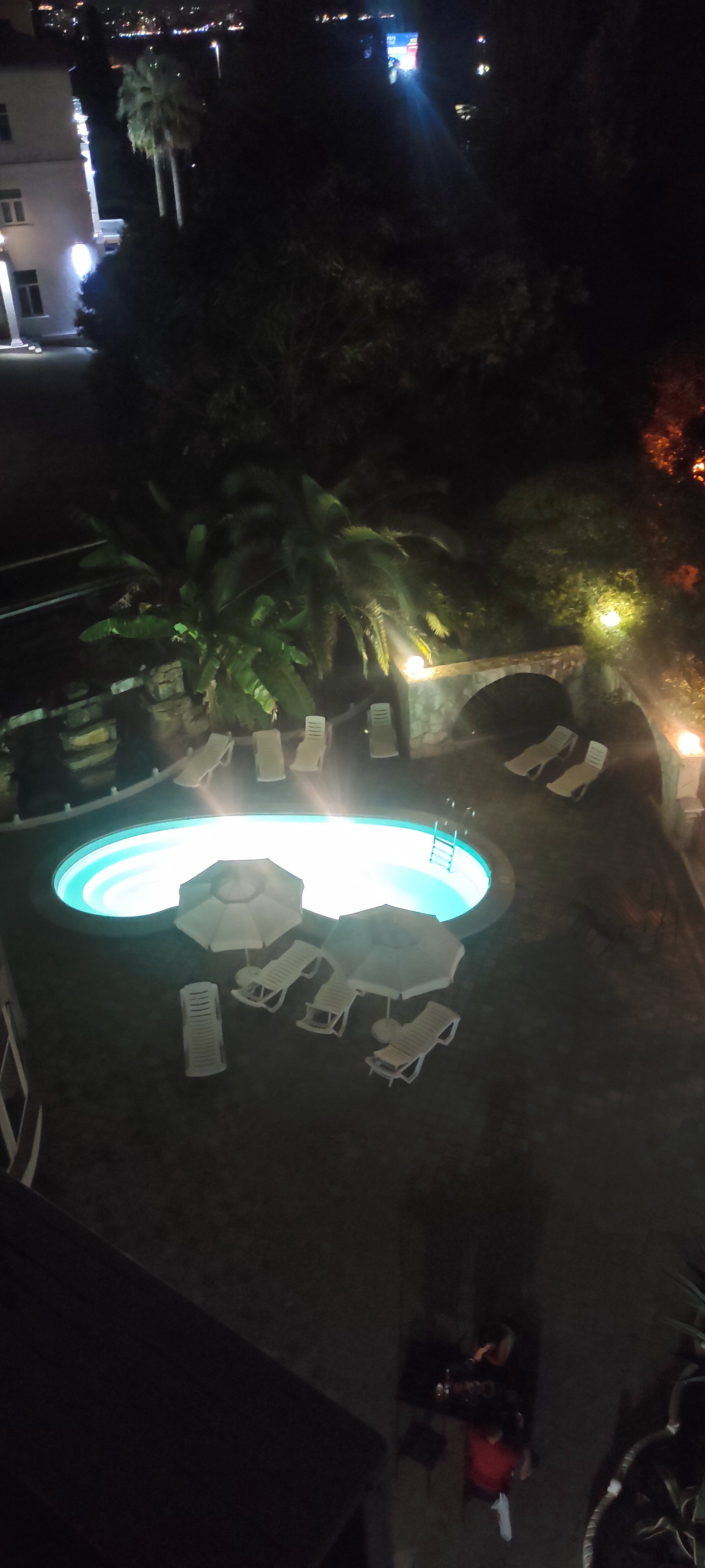 Фото Золотая пальма