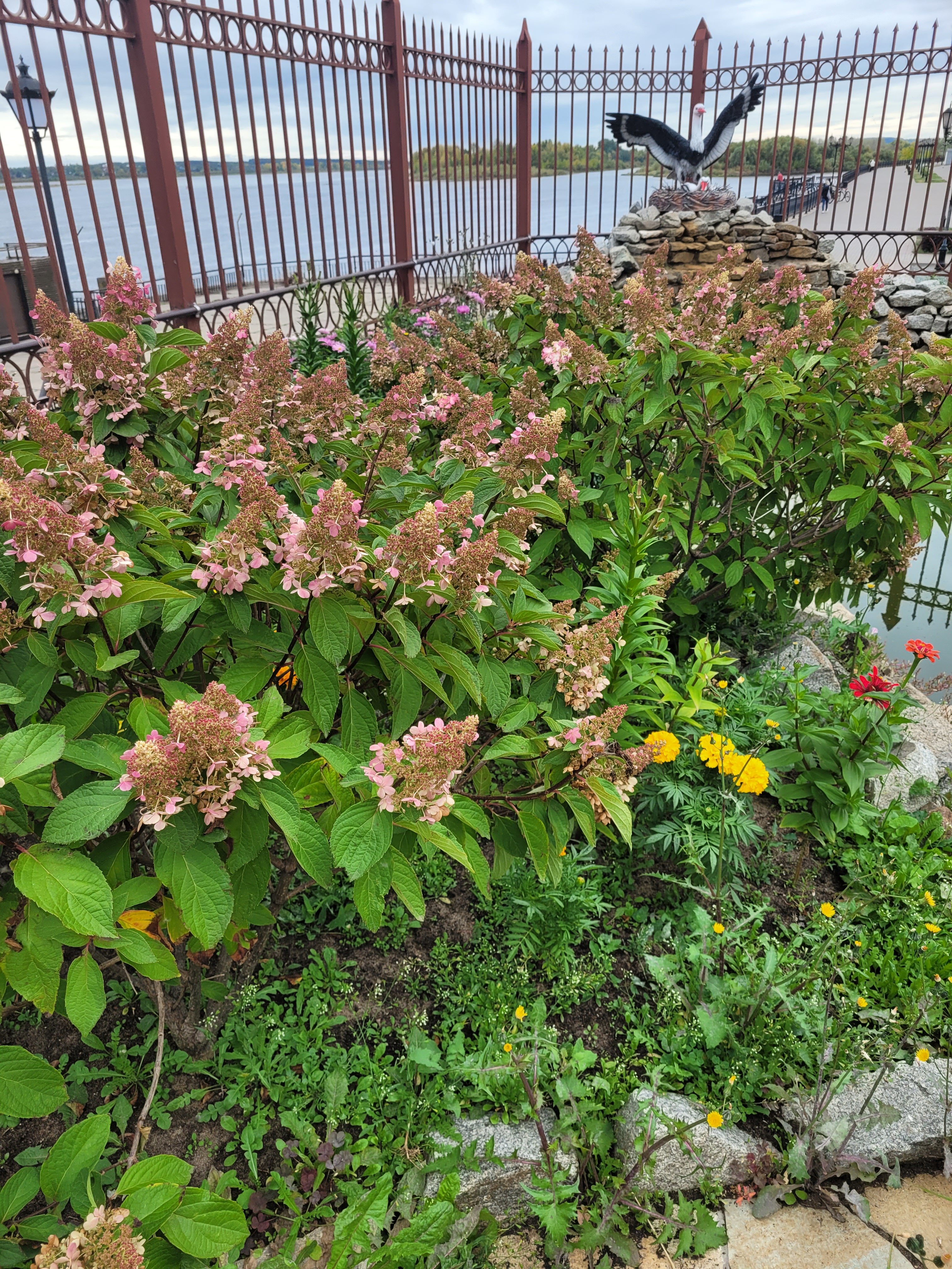 Фото Отель Сарапулъ