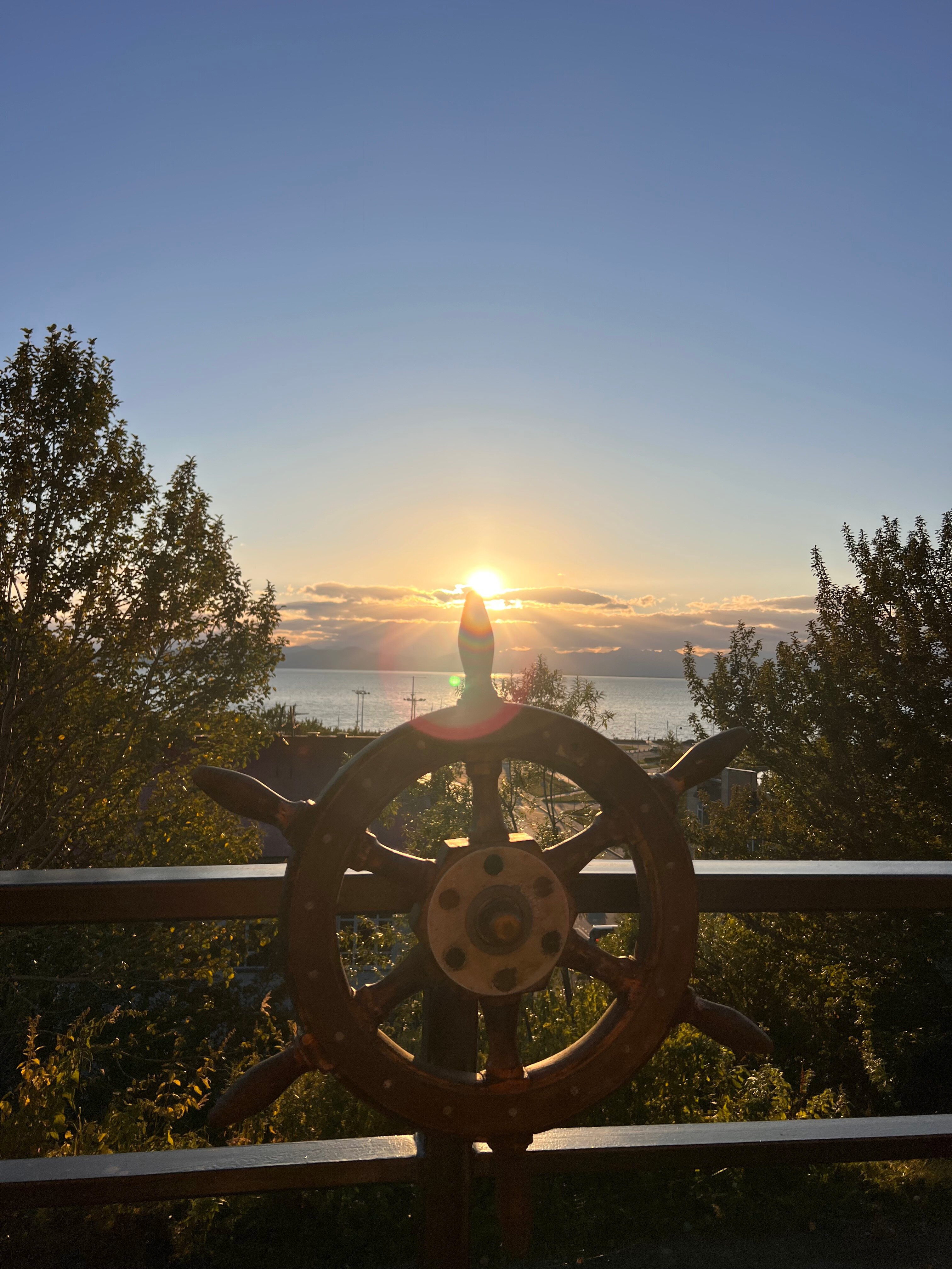 Фото Командор