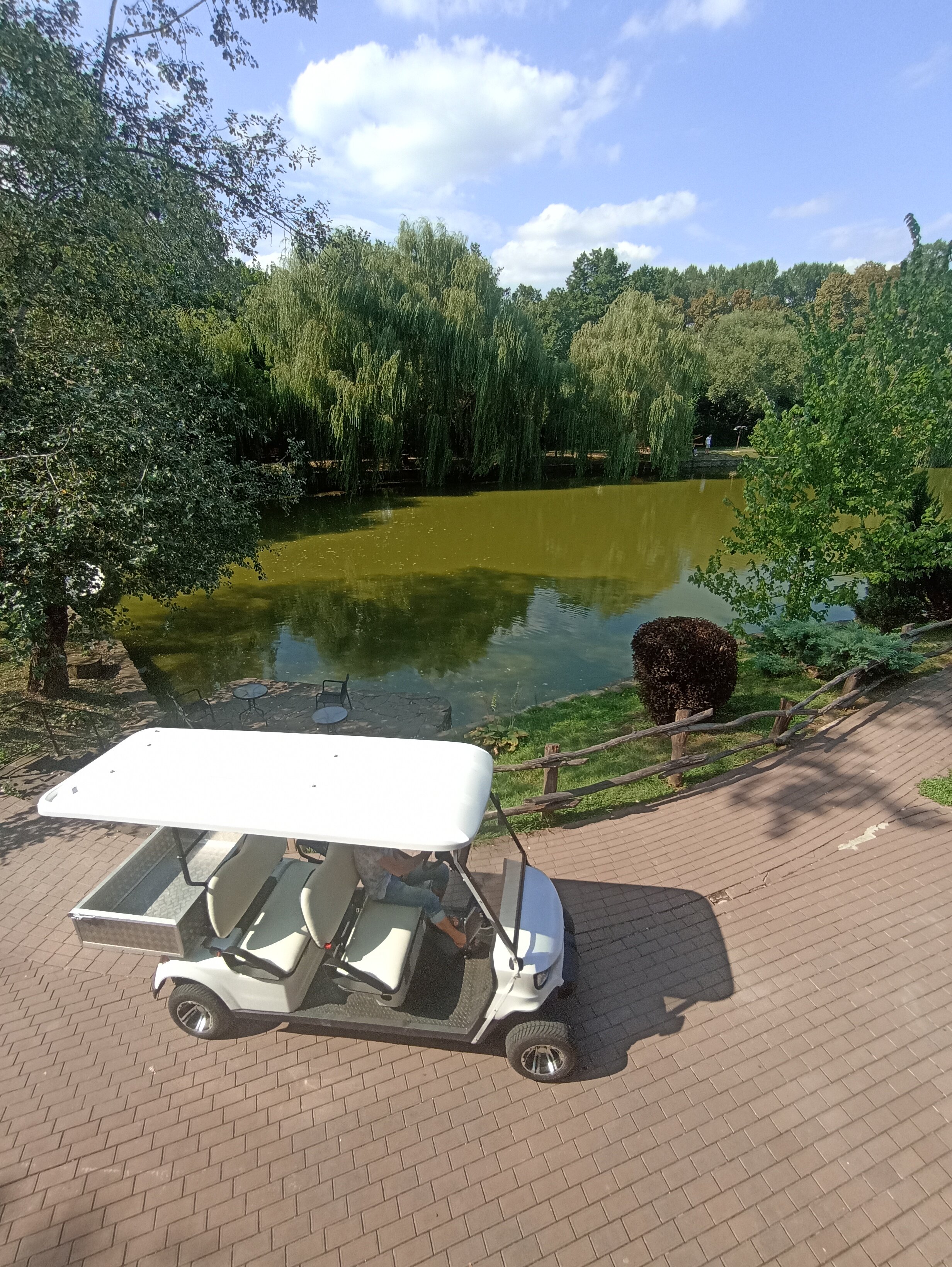 Фото Кура-цеце