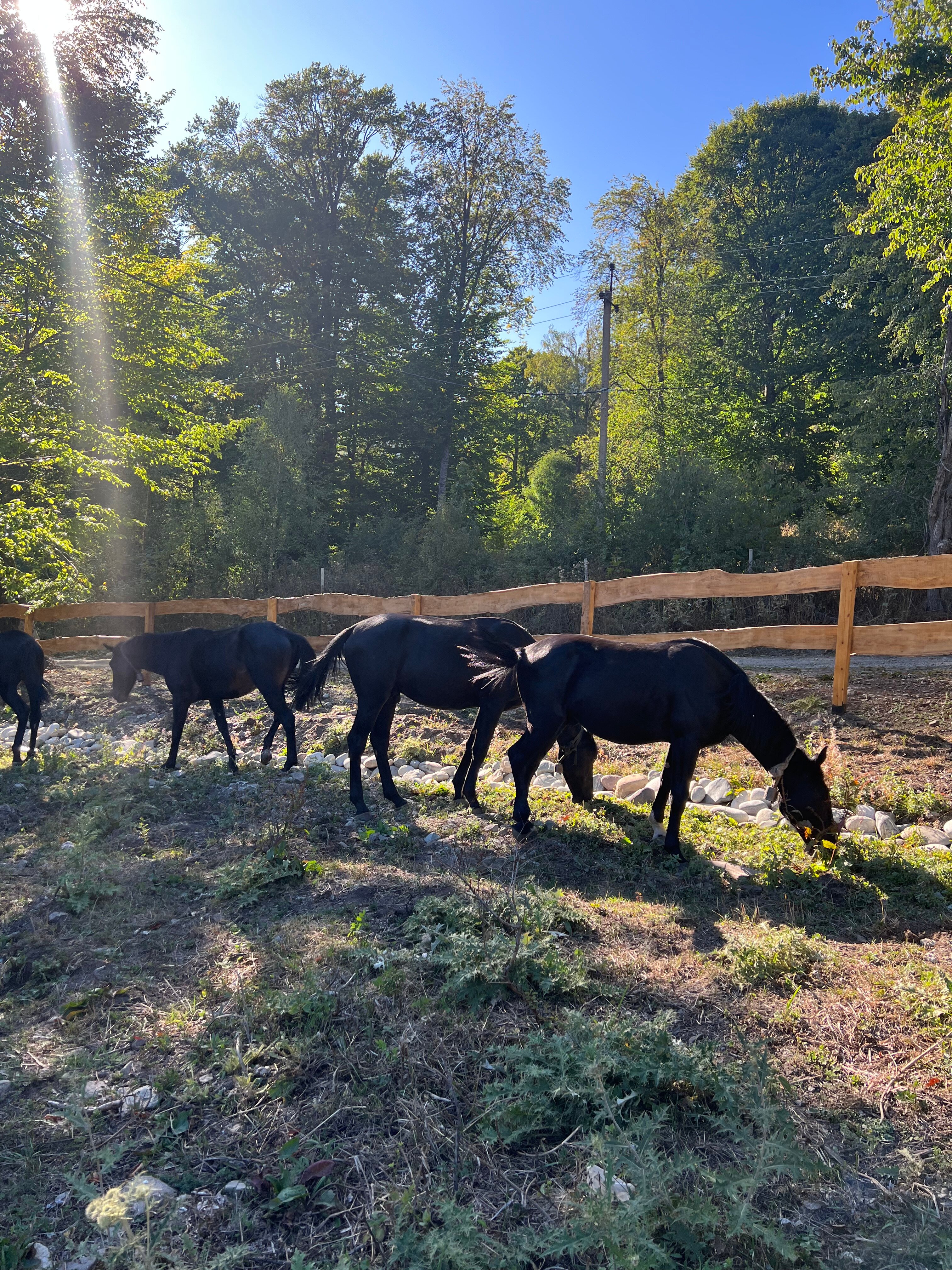 Фото Архыз-Парк