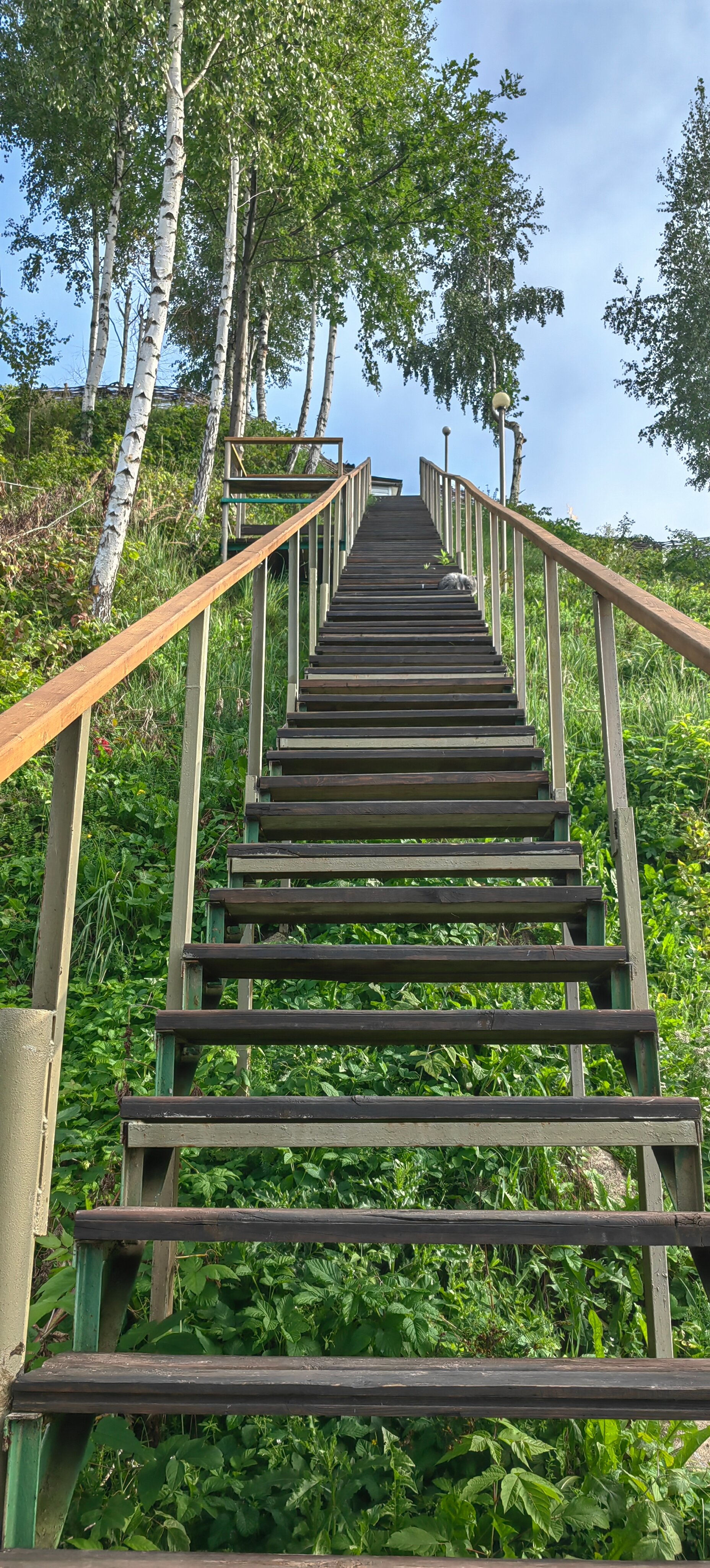 Фото Кентавр