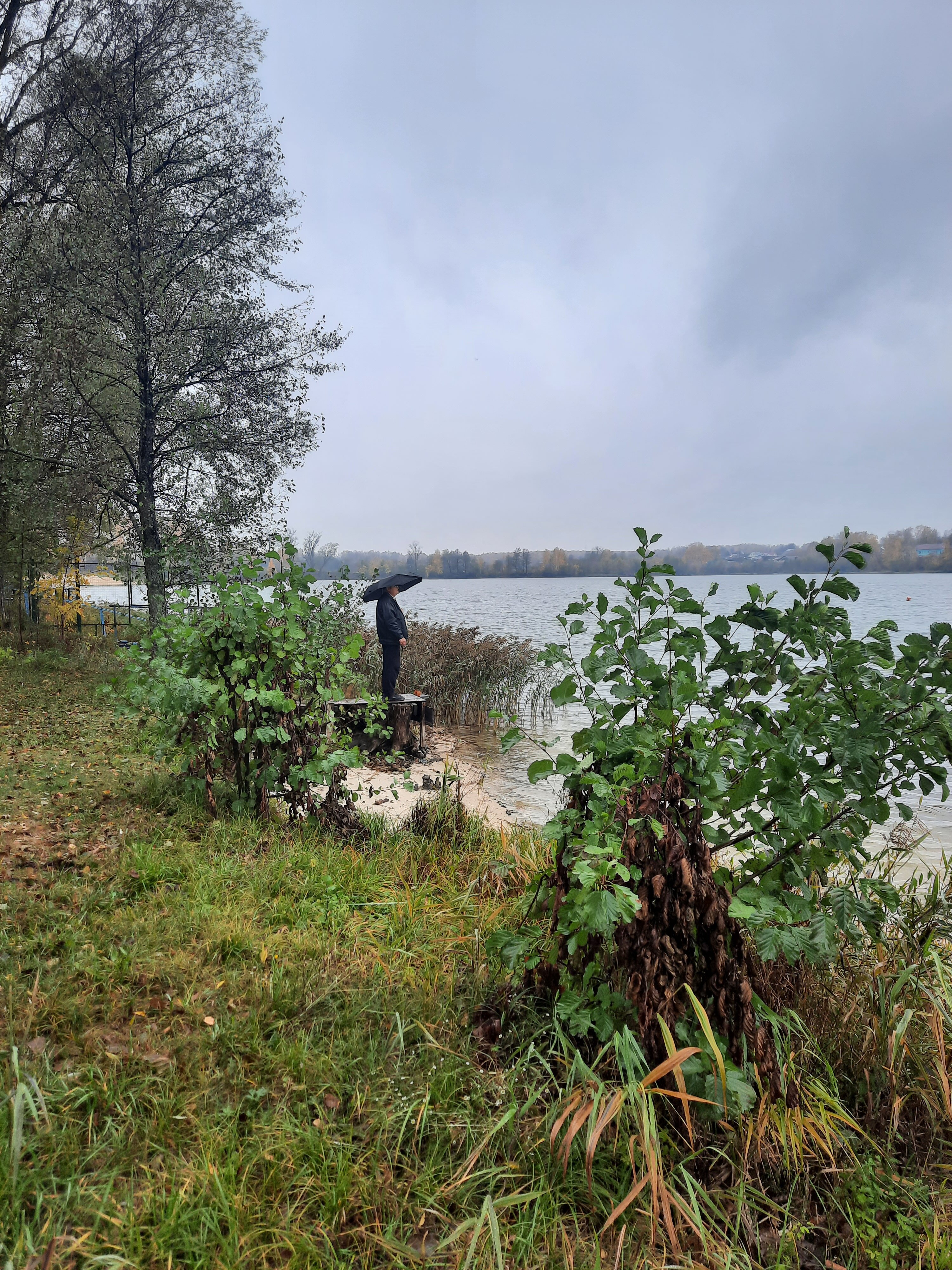 Фото Динамо