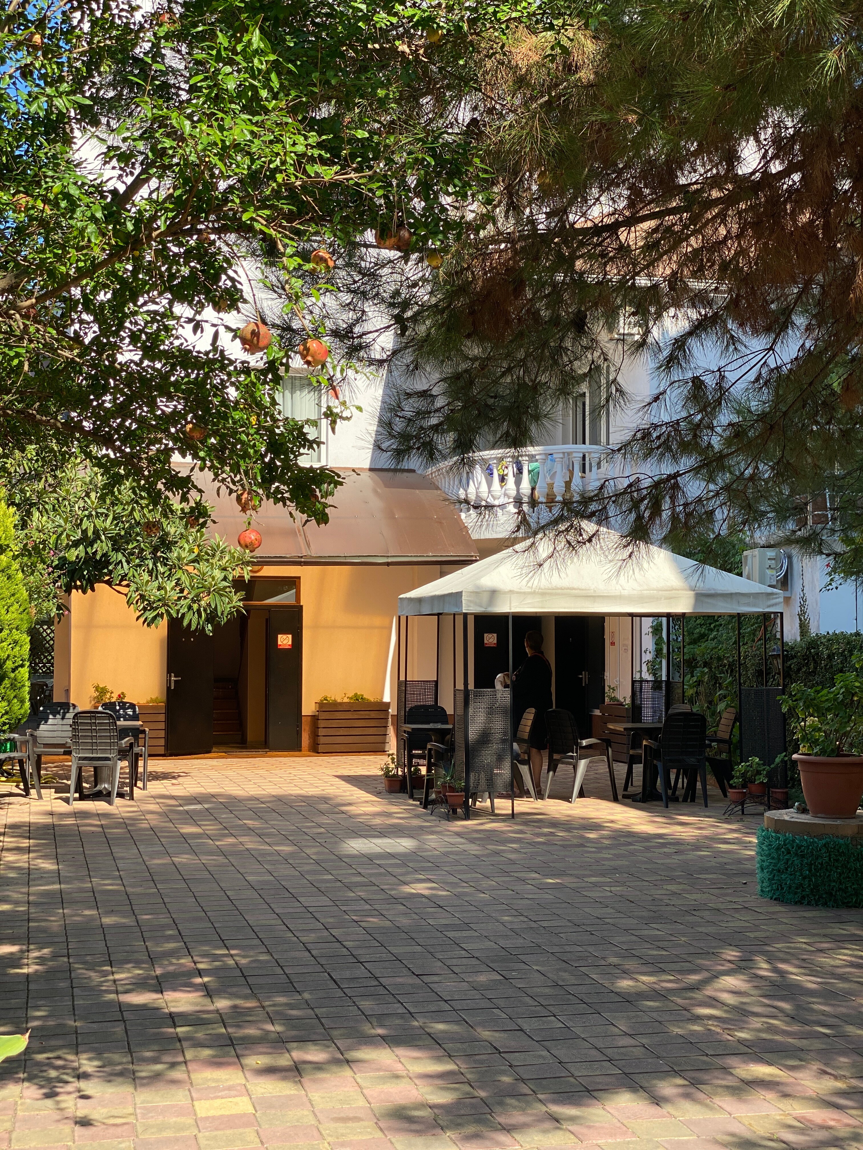 Фото Талассо