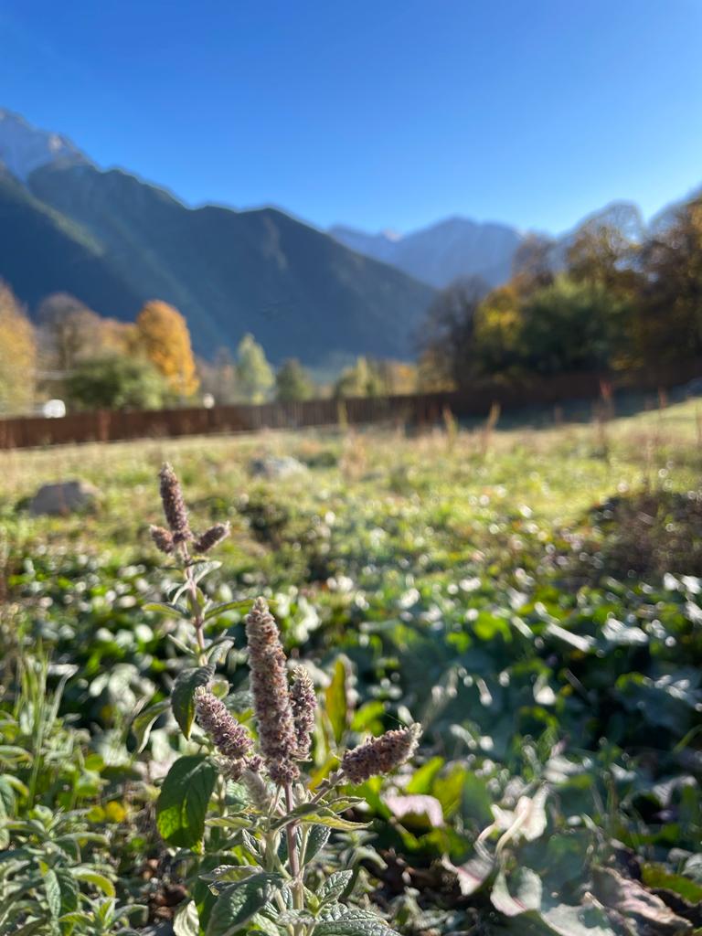 Фото Soul Arkhyz