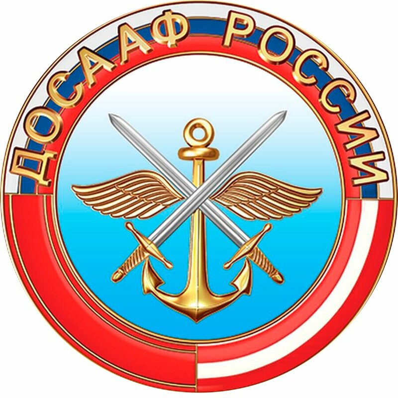 Логотип автошколы «Дмитровская школа РО ДОСААФ России МО»